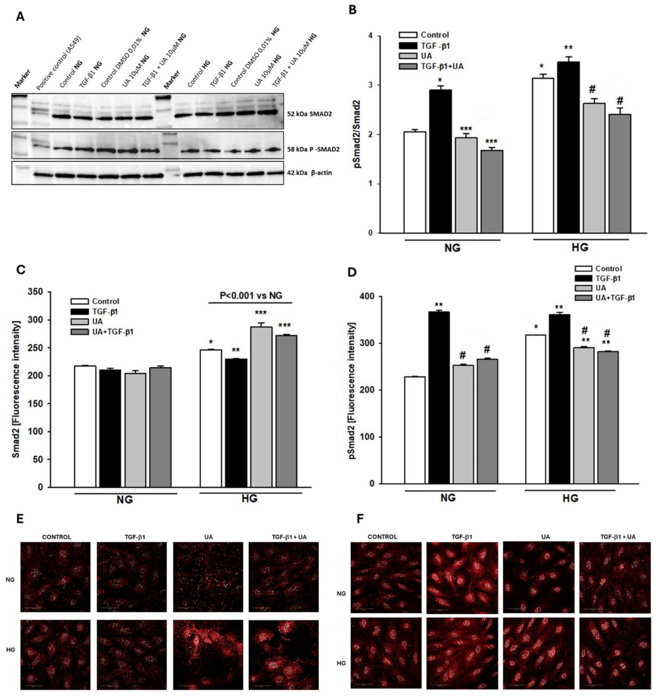 Preprints 111182 g006