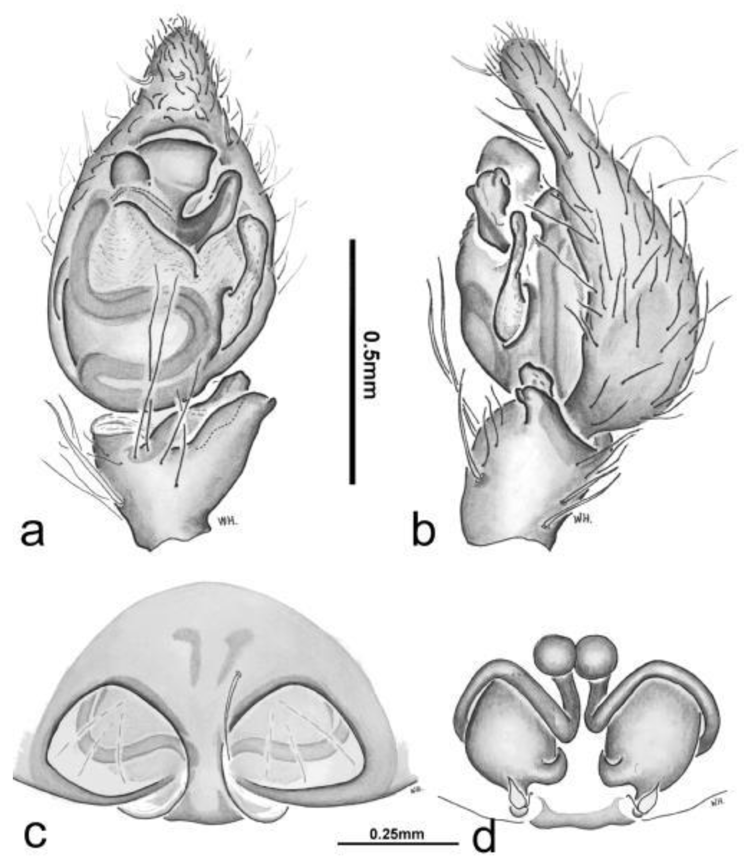 Preprints 119310 g002