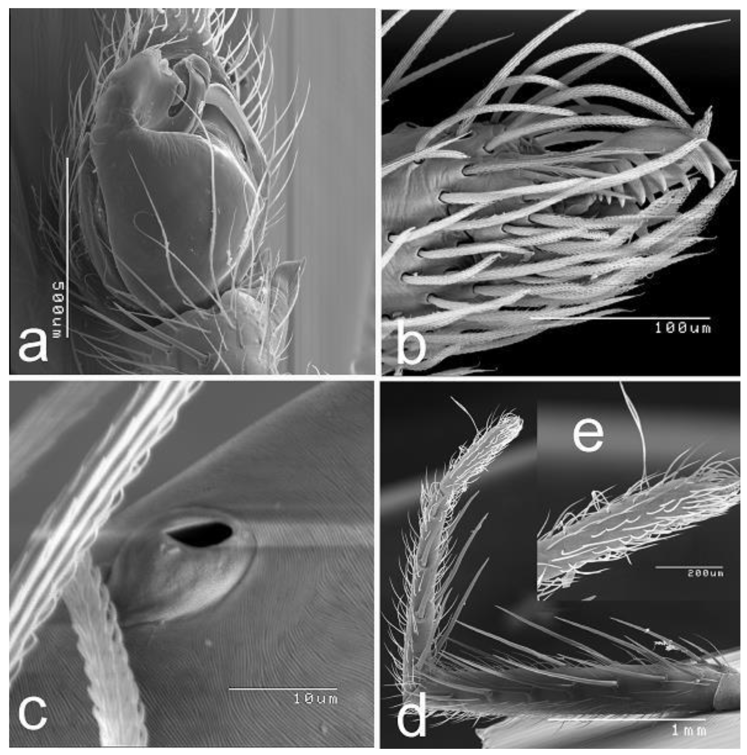 Preprints 119310 g003