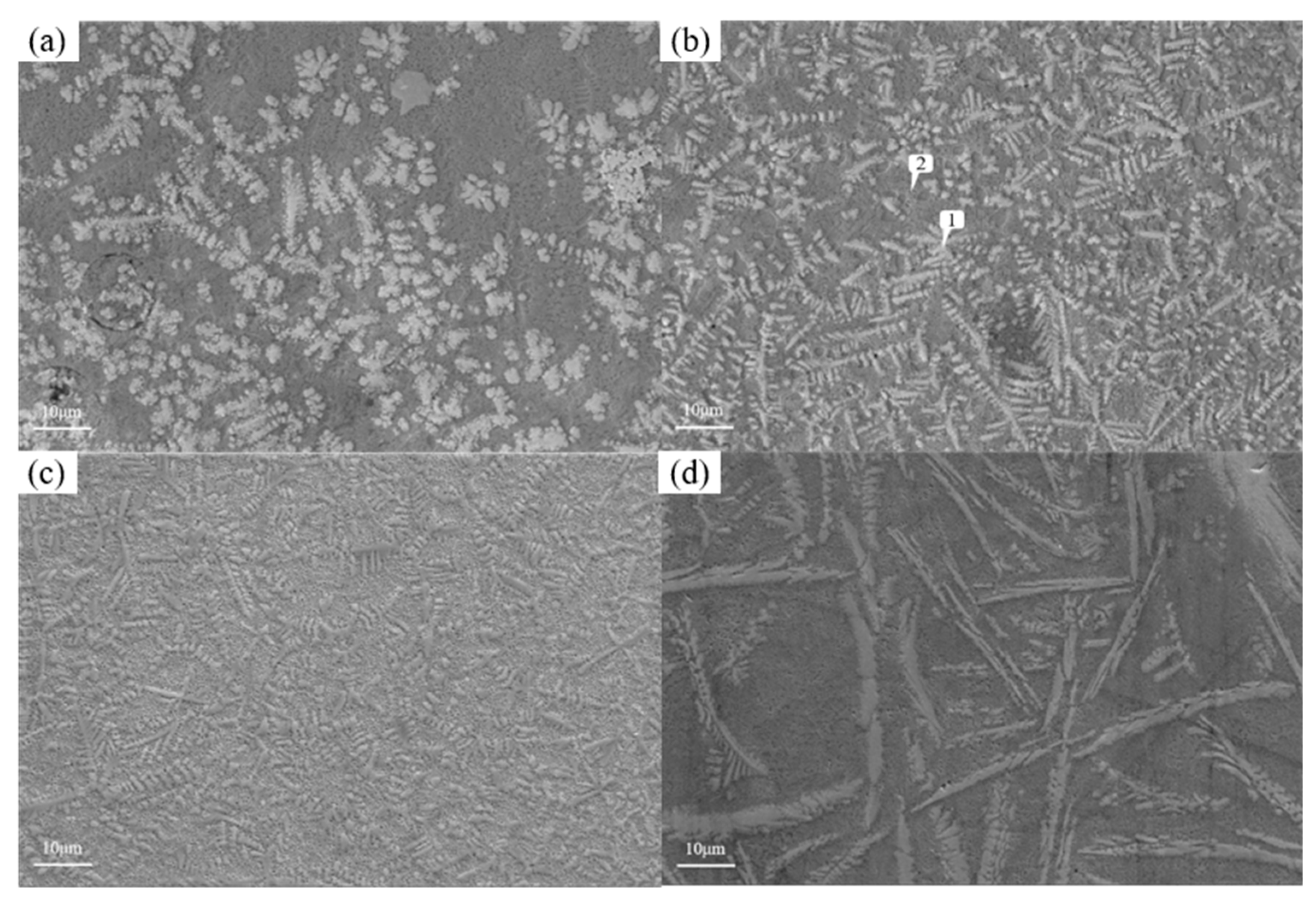 Preprints 100734 g012