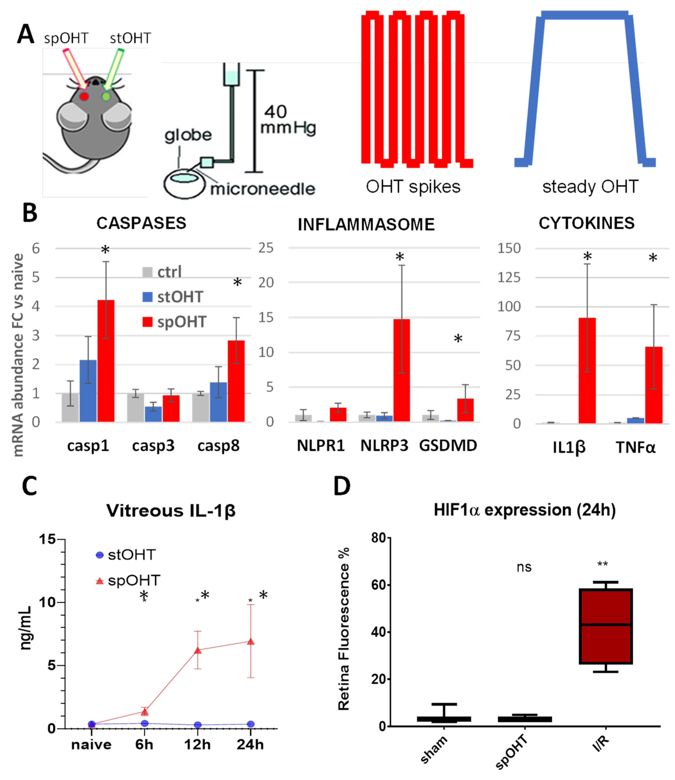 Preprints 86347 g001