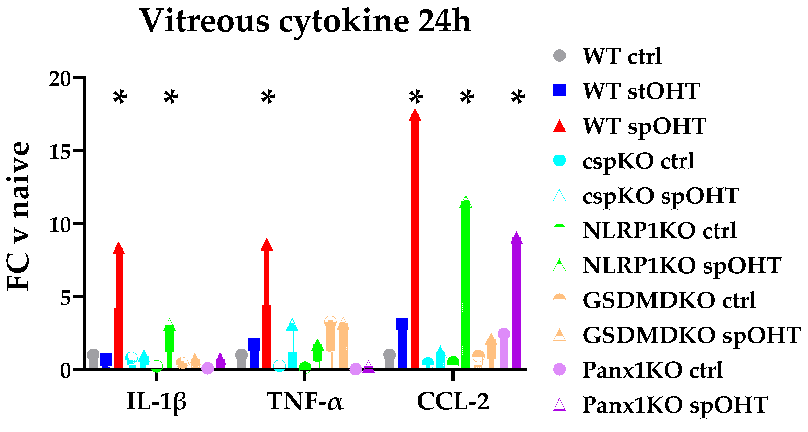 Preprints 86347 g003