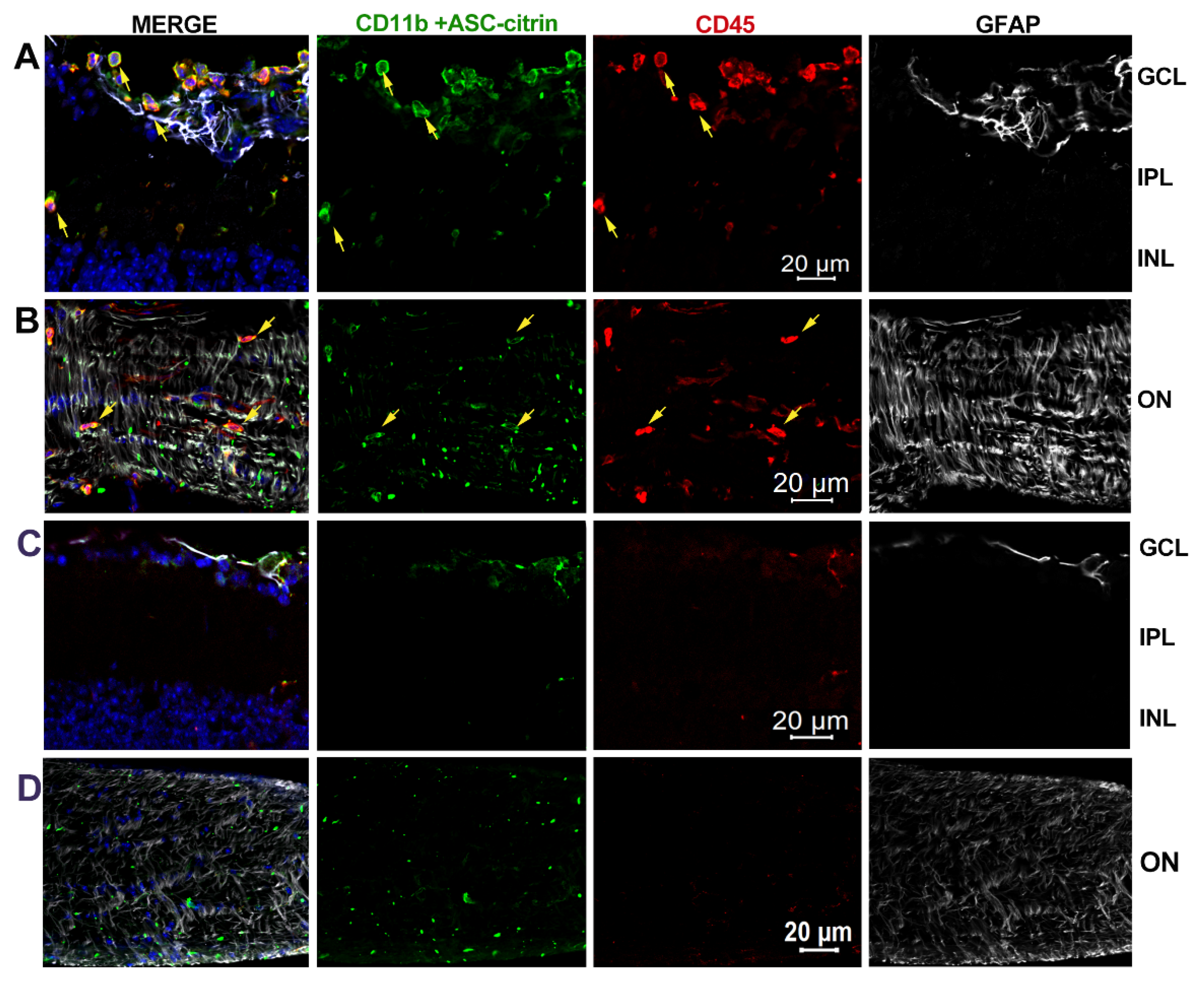 Preprints 86347 g009