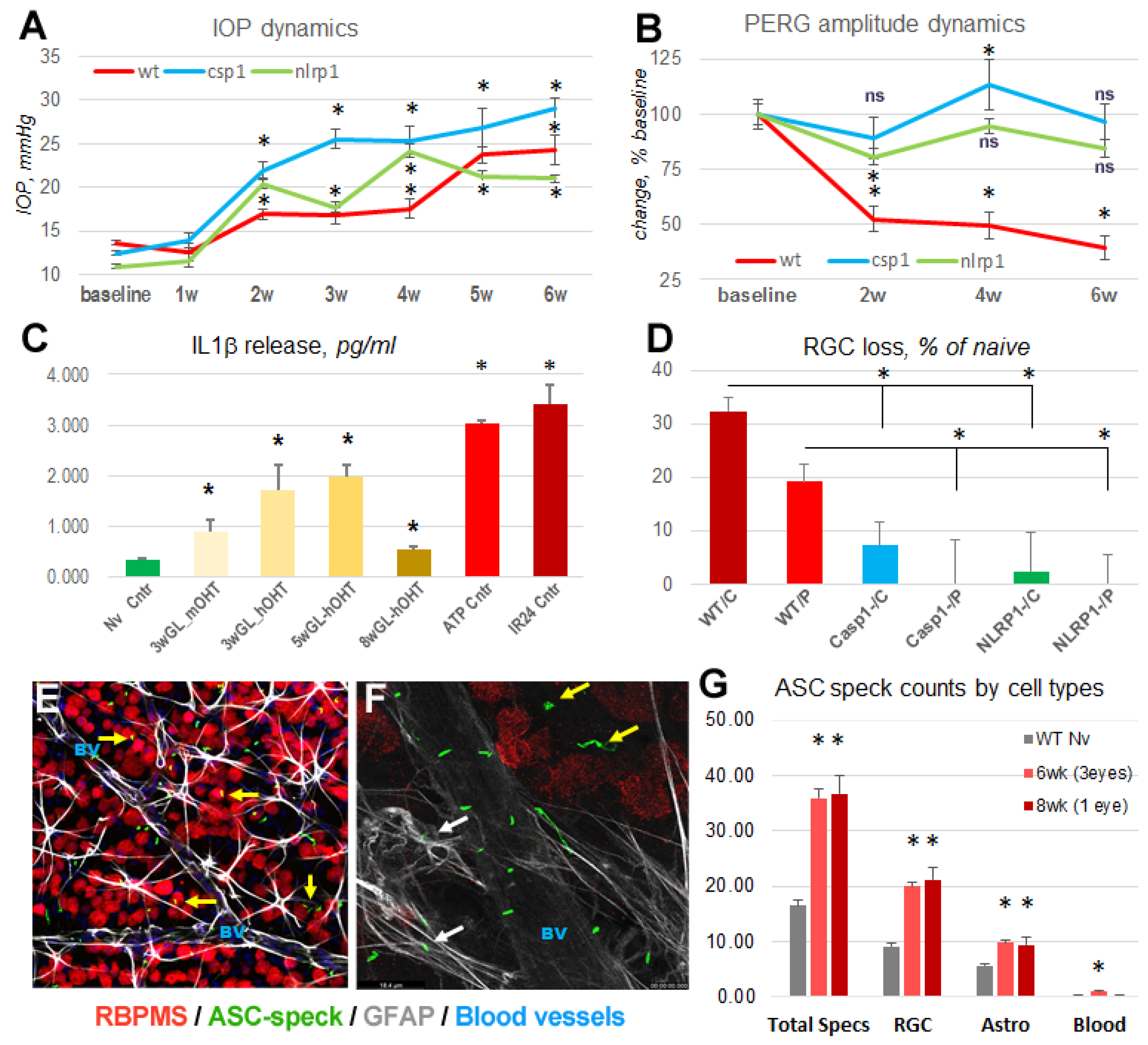 Preprints 86347 g010