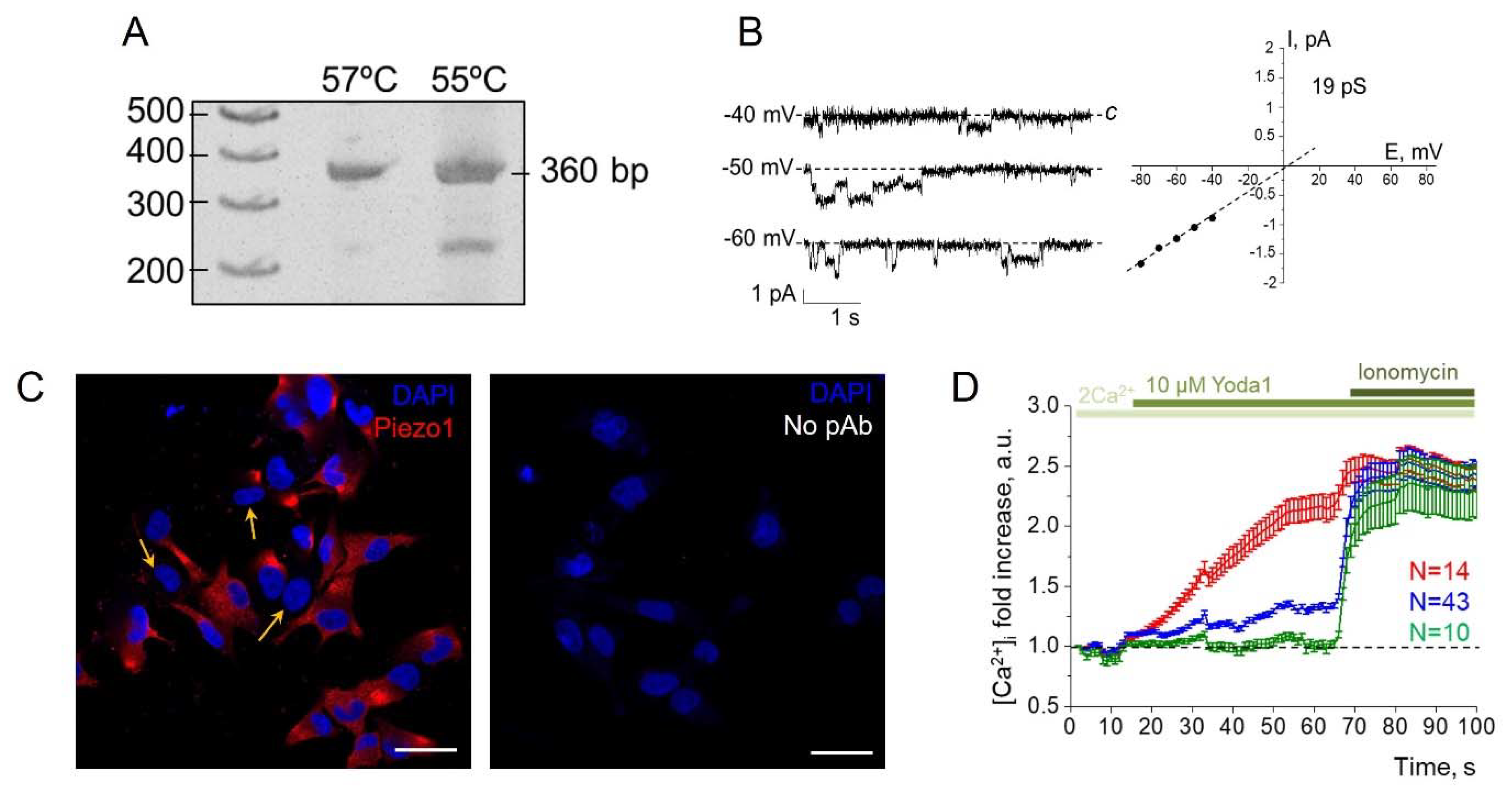 Preprints 83463 g001