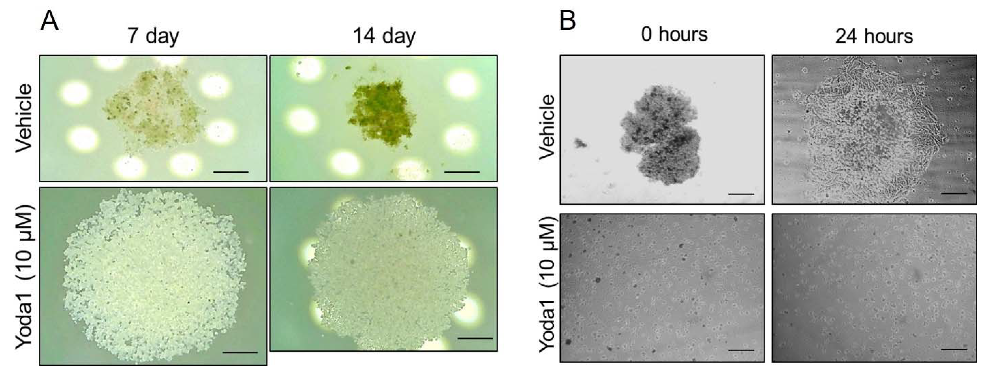 Preprints 83463 g002