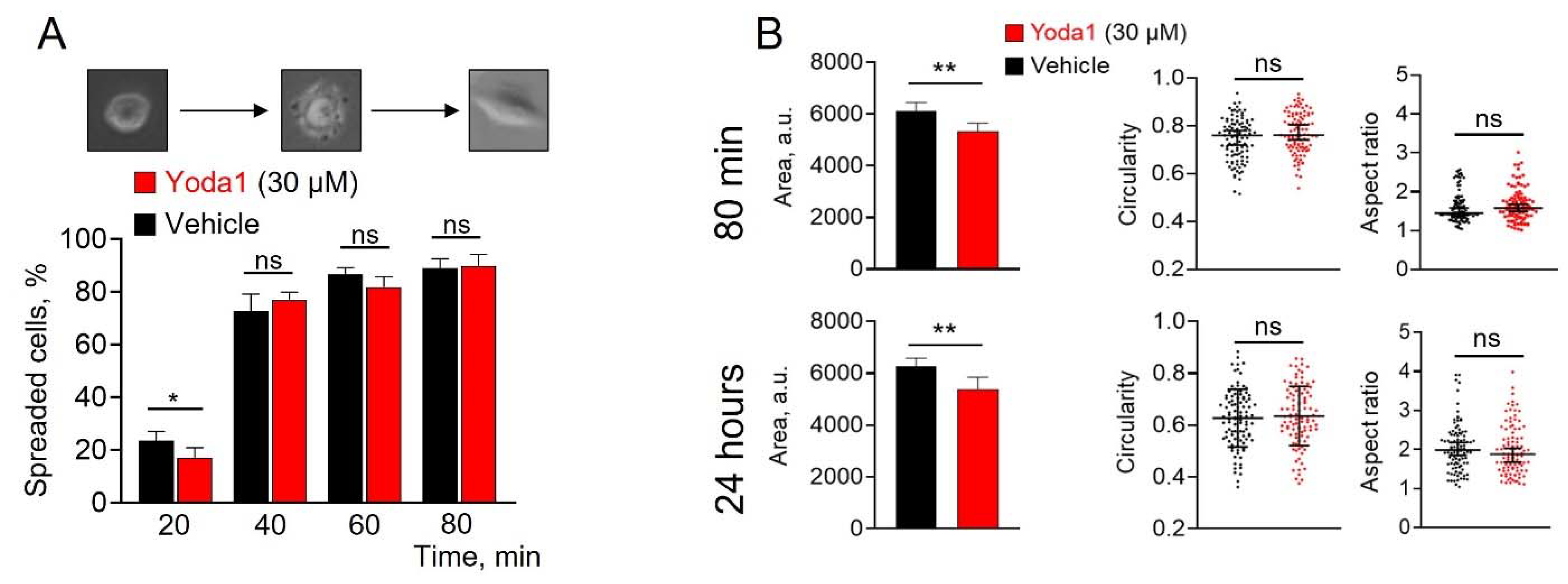 Preprints 83463 g003