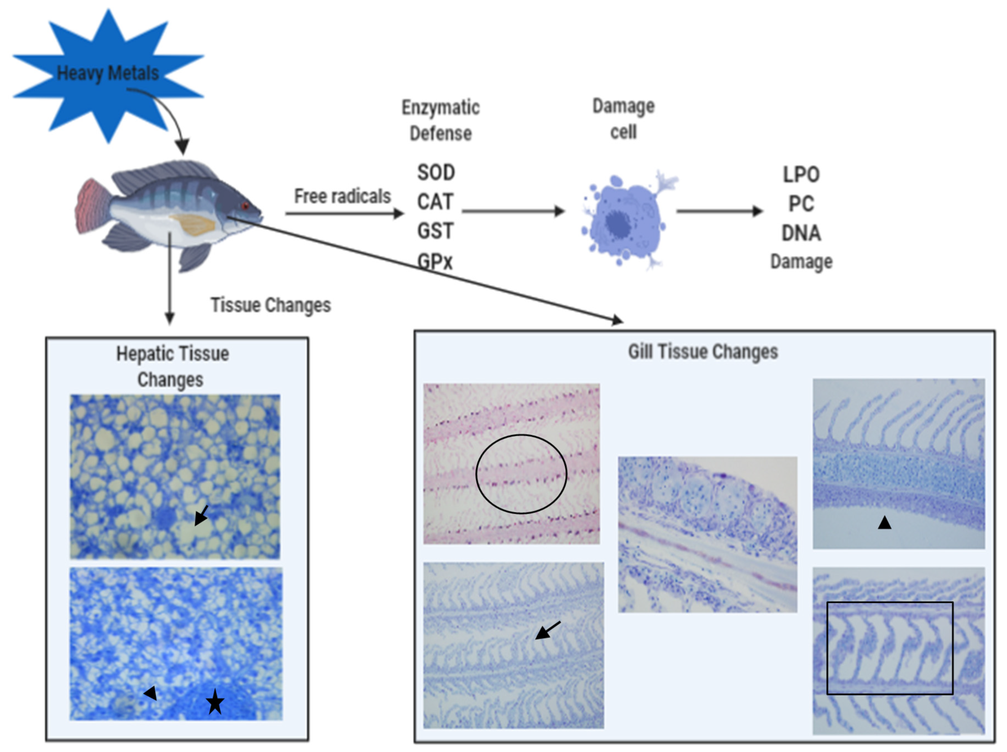 Preprints 103081 g003