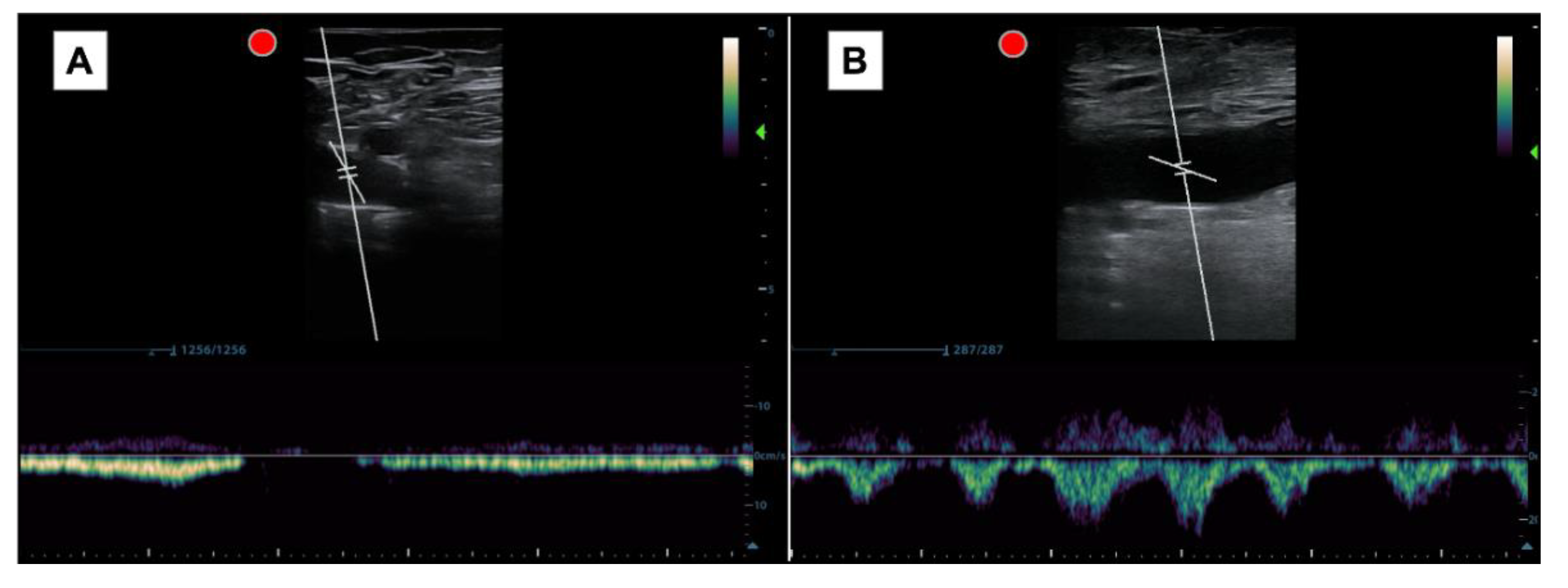 Preprints 108056 g003