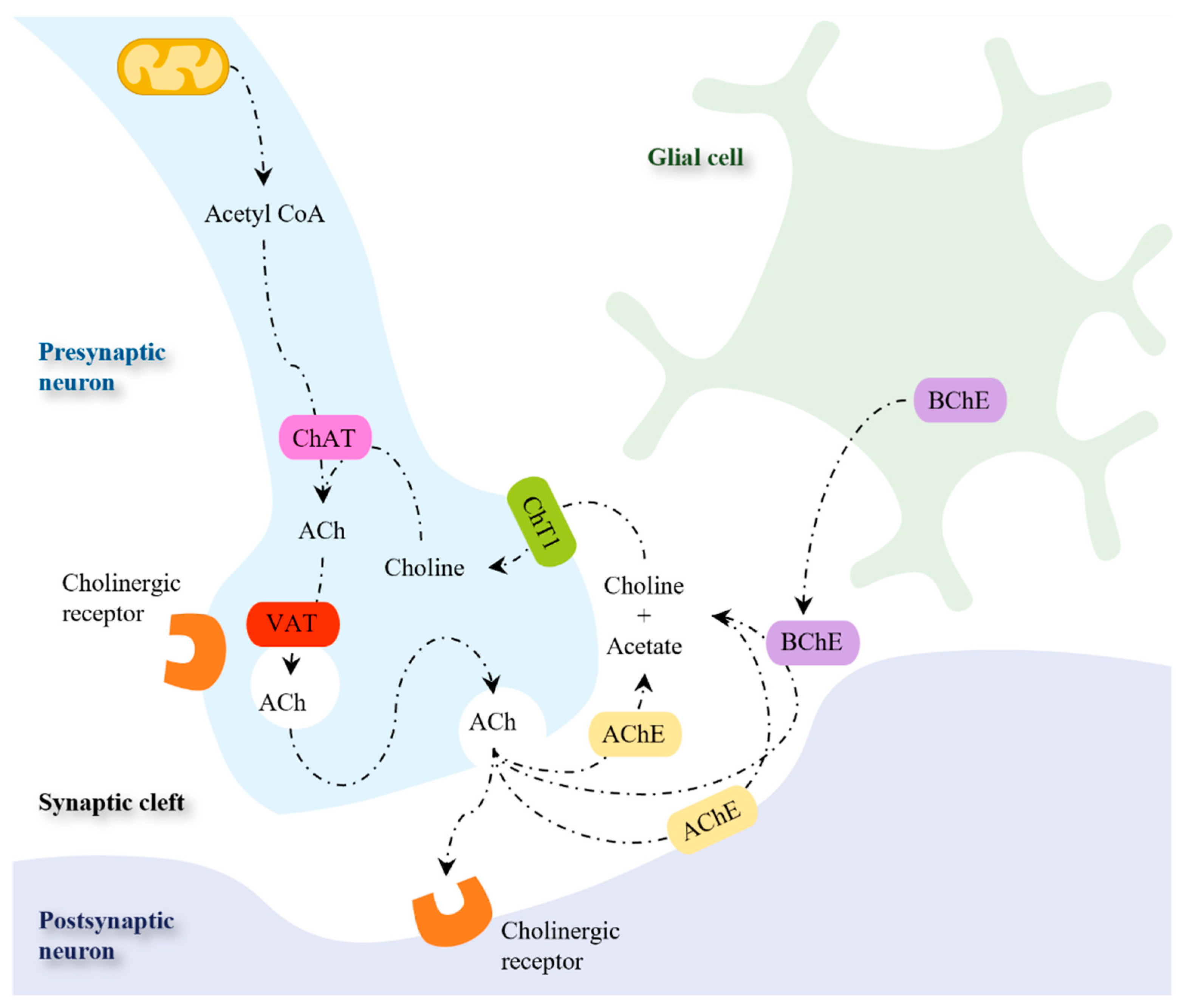 Preprints 103199 g004