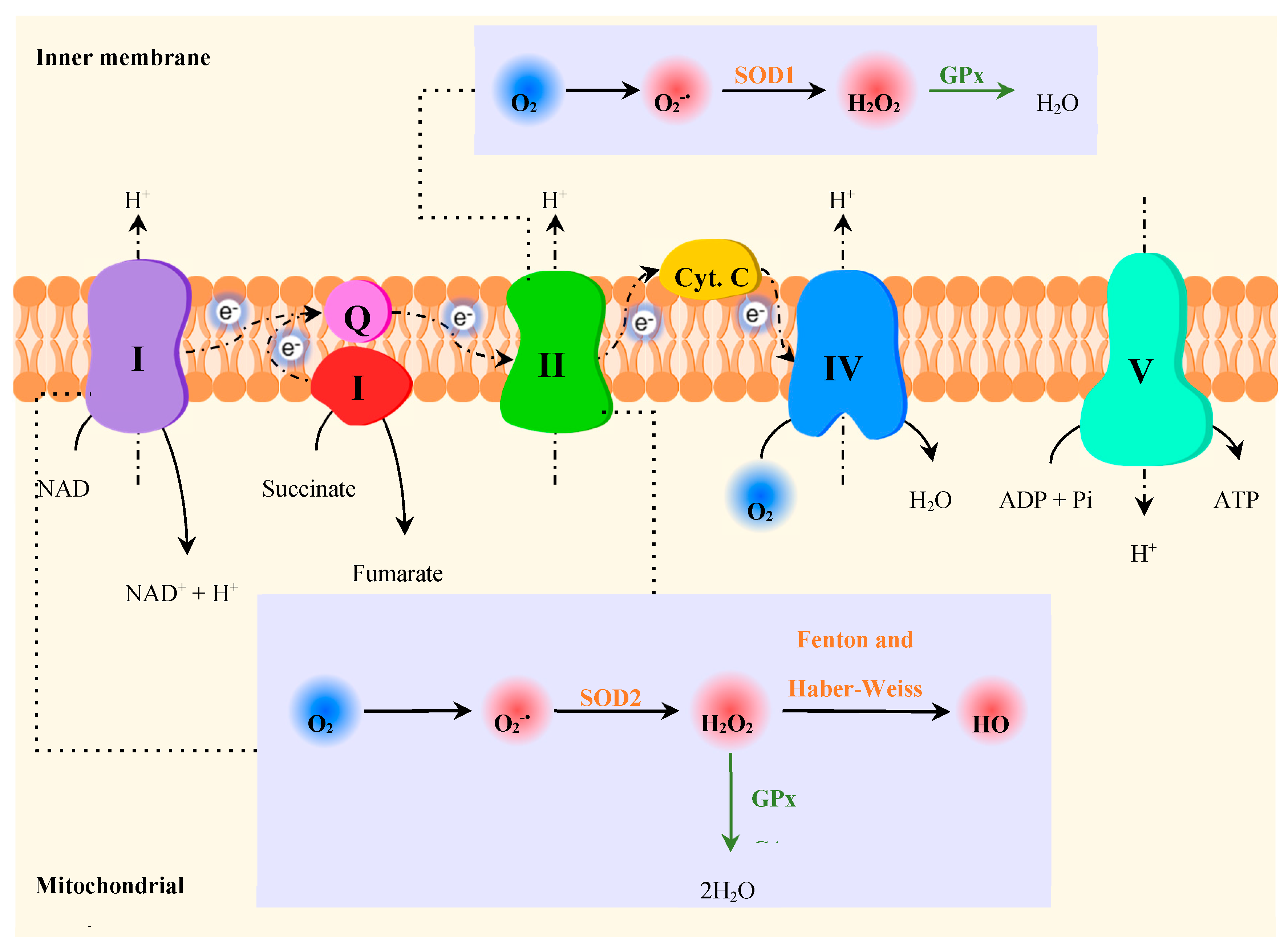 Preprints 103199 g009