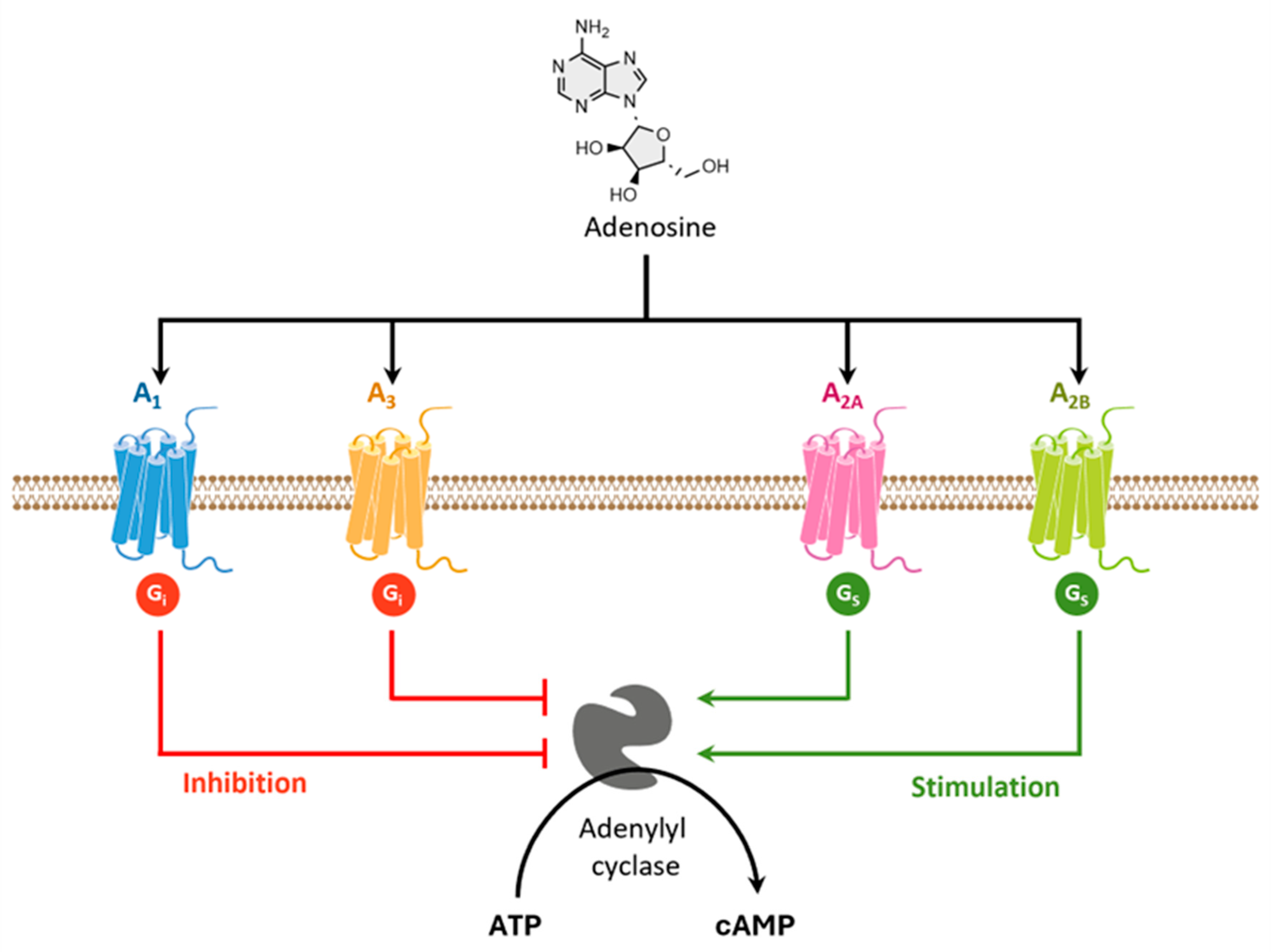 Preprints 103199 g012