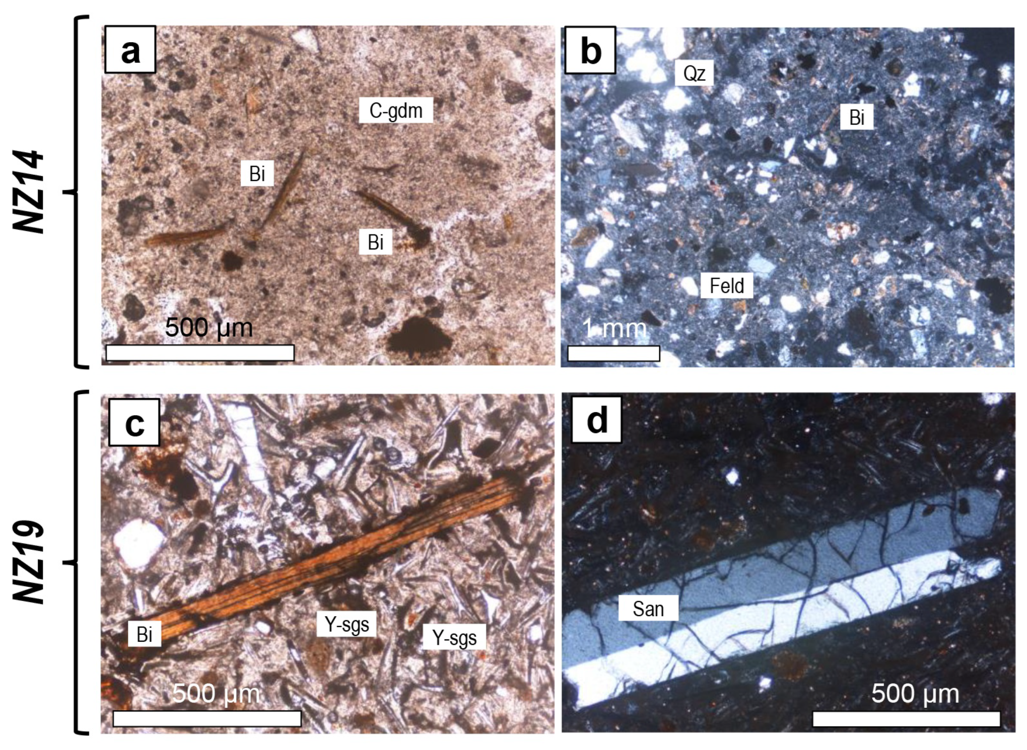 Preprints 120842 g0a2