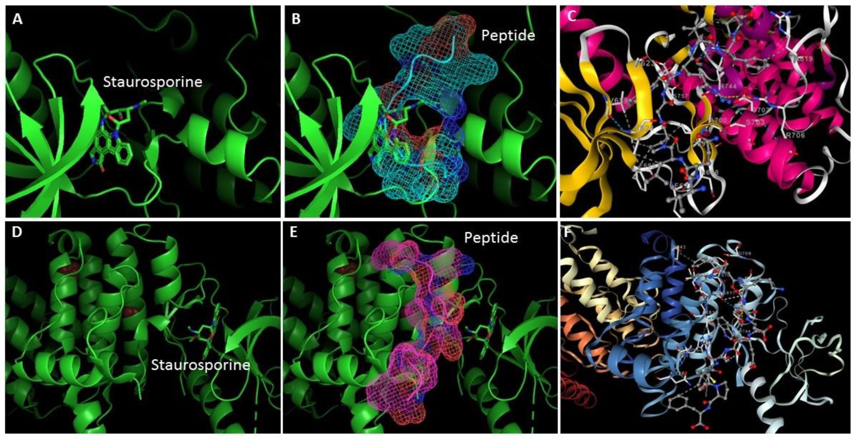 Preprints 91961 g002