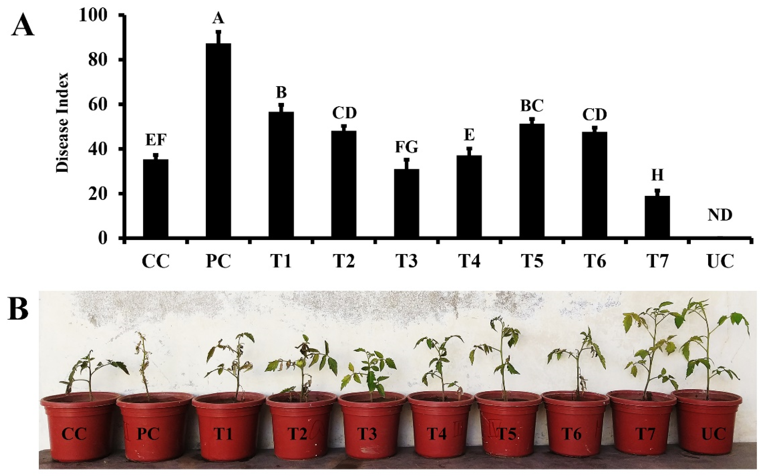 Preprints 86297 g004