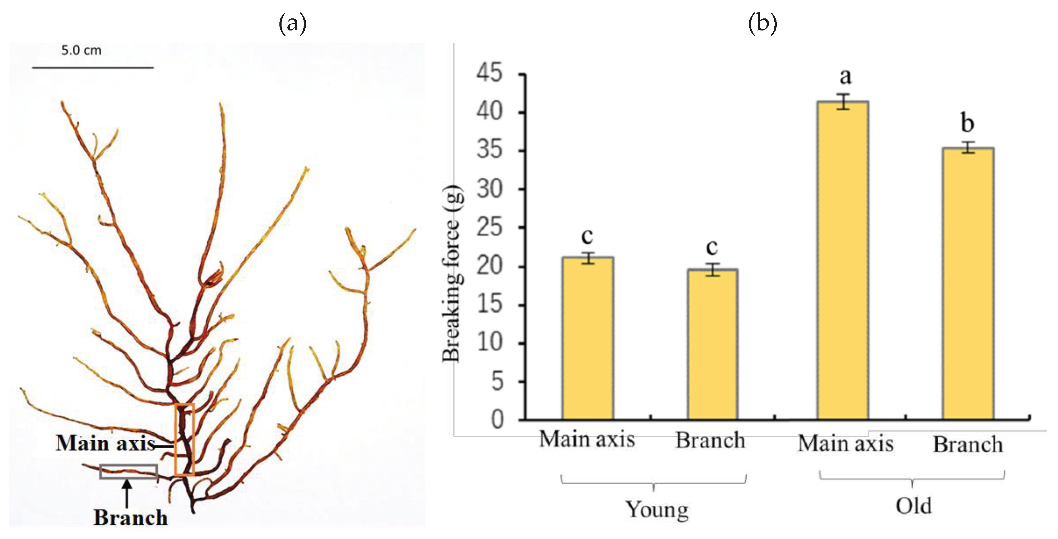 Preprints 82449 g001