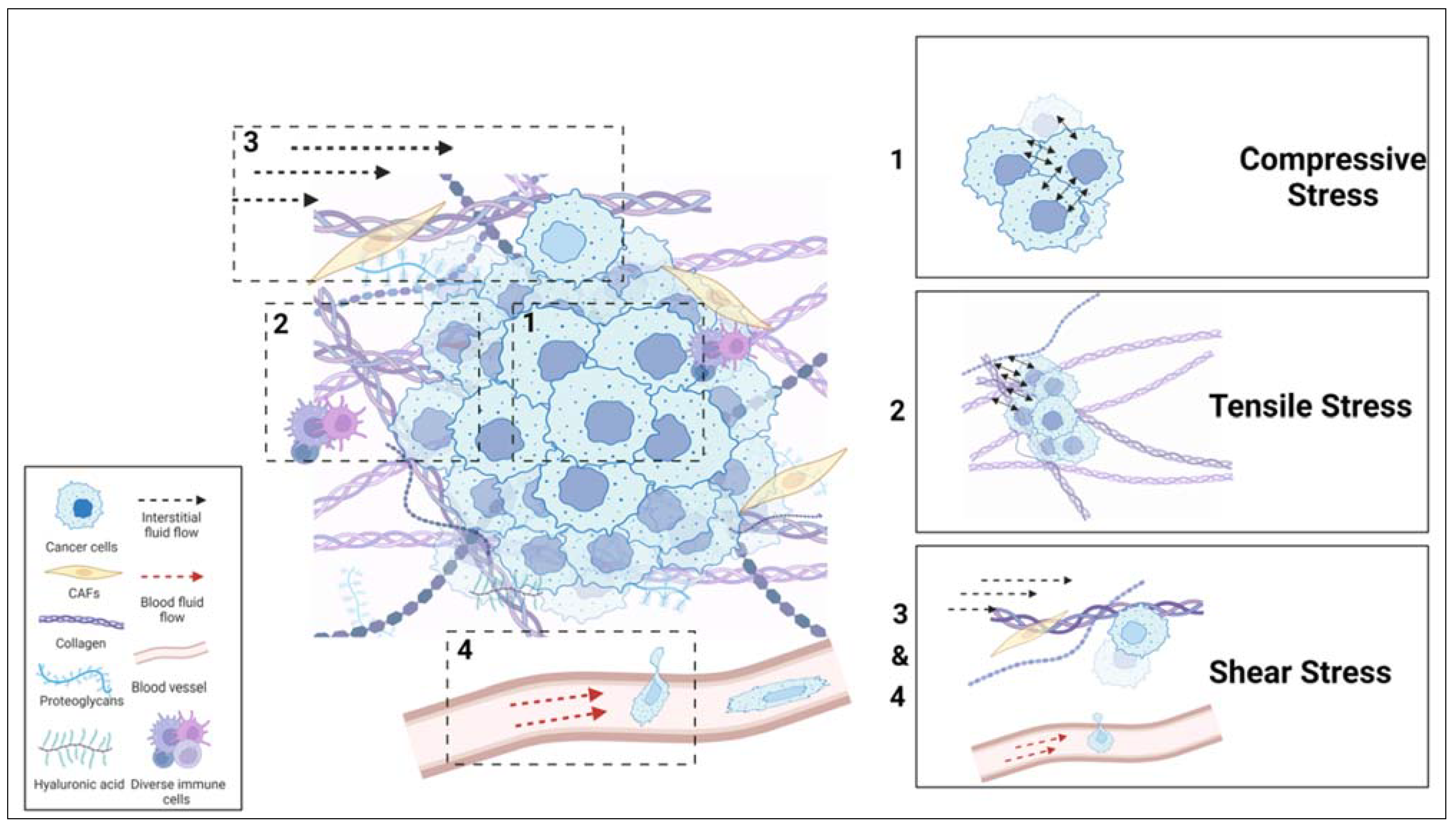 Preprints 80760 g001