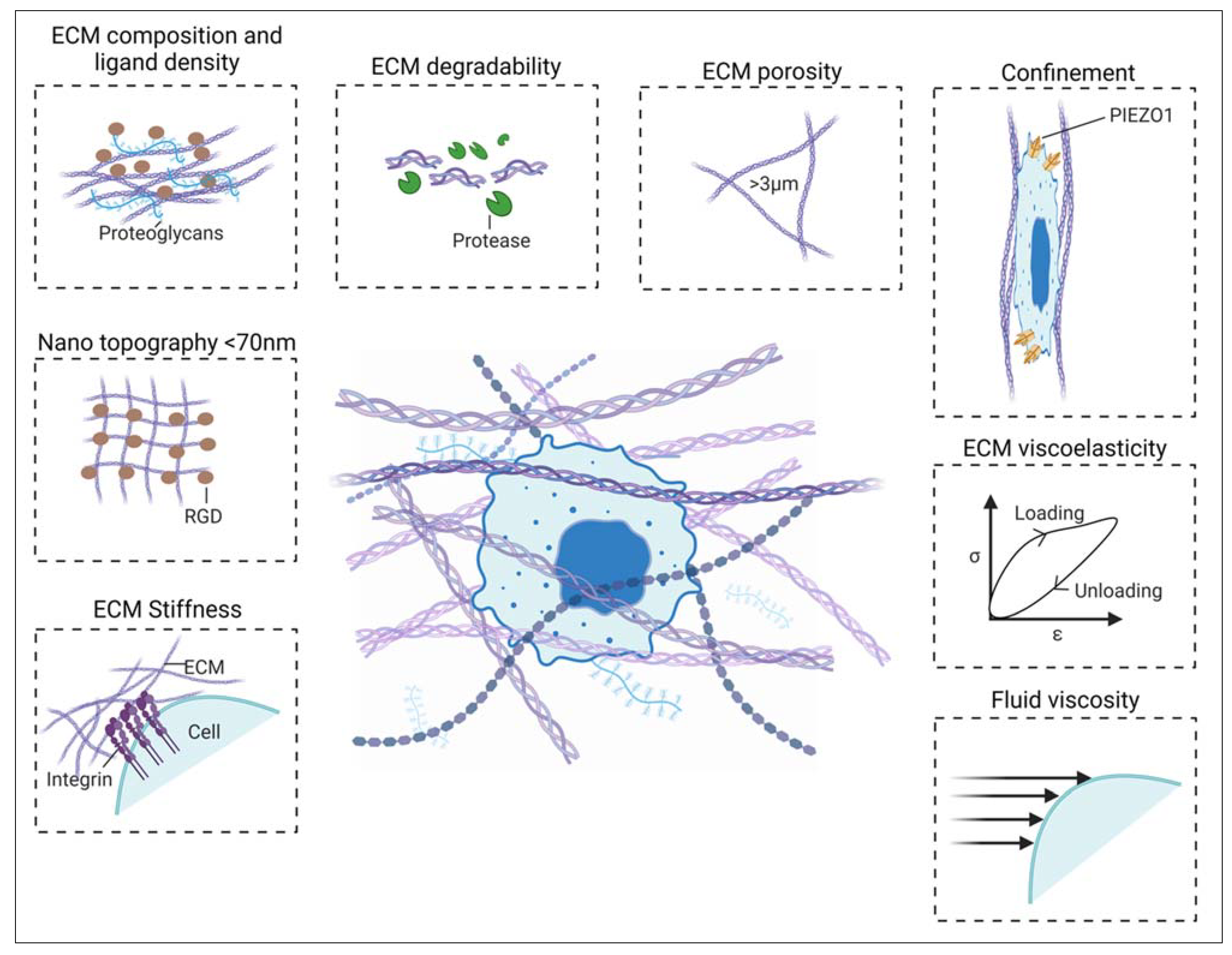 Preprints 80760 g002