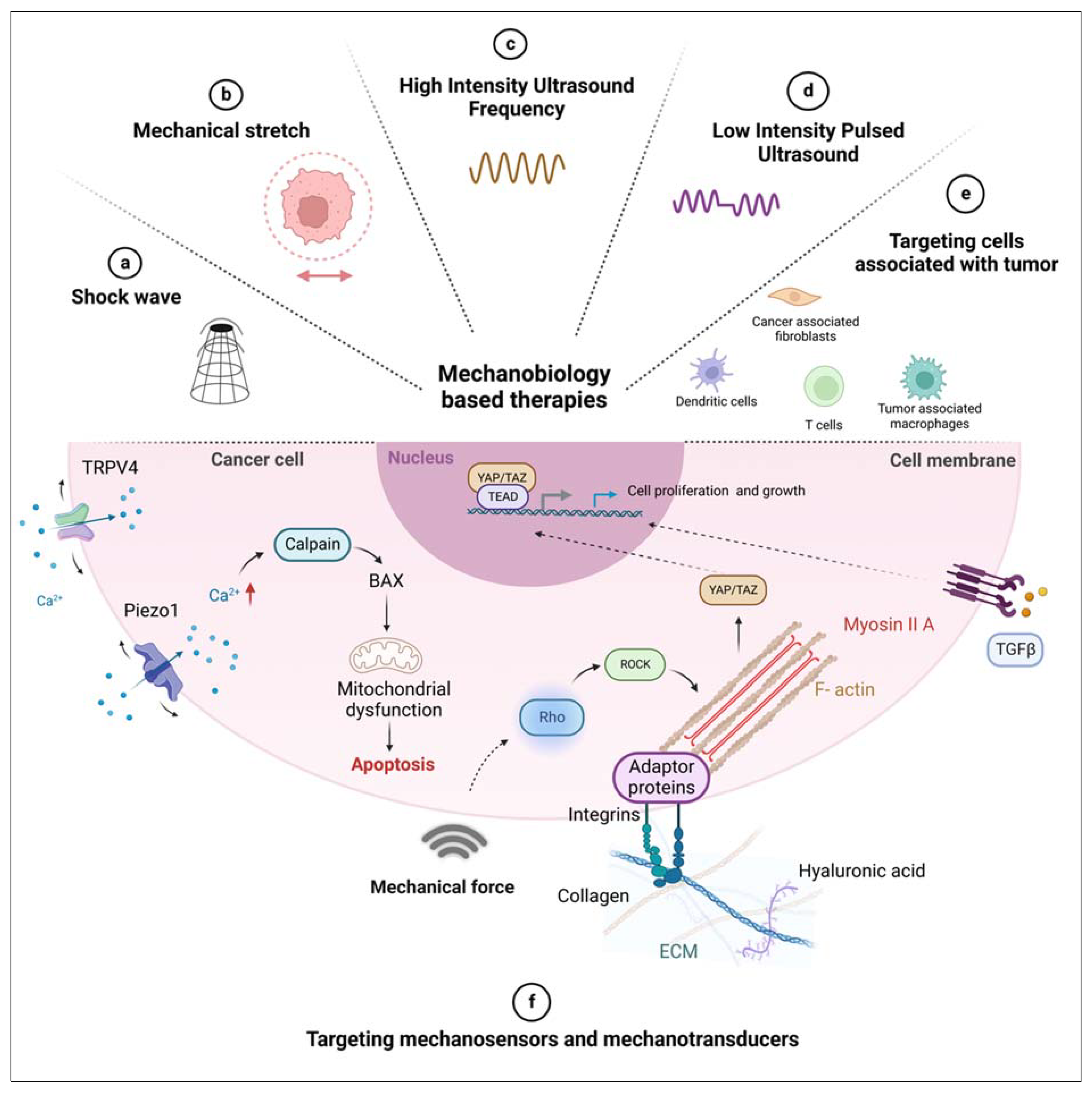 Preprints 80760 g003