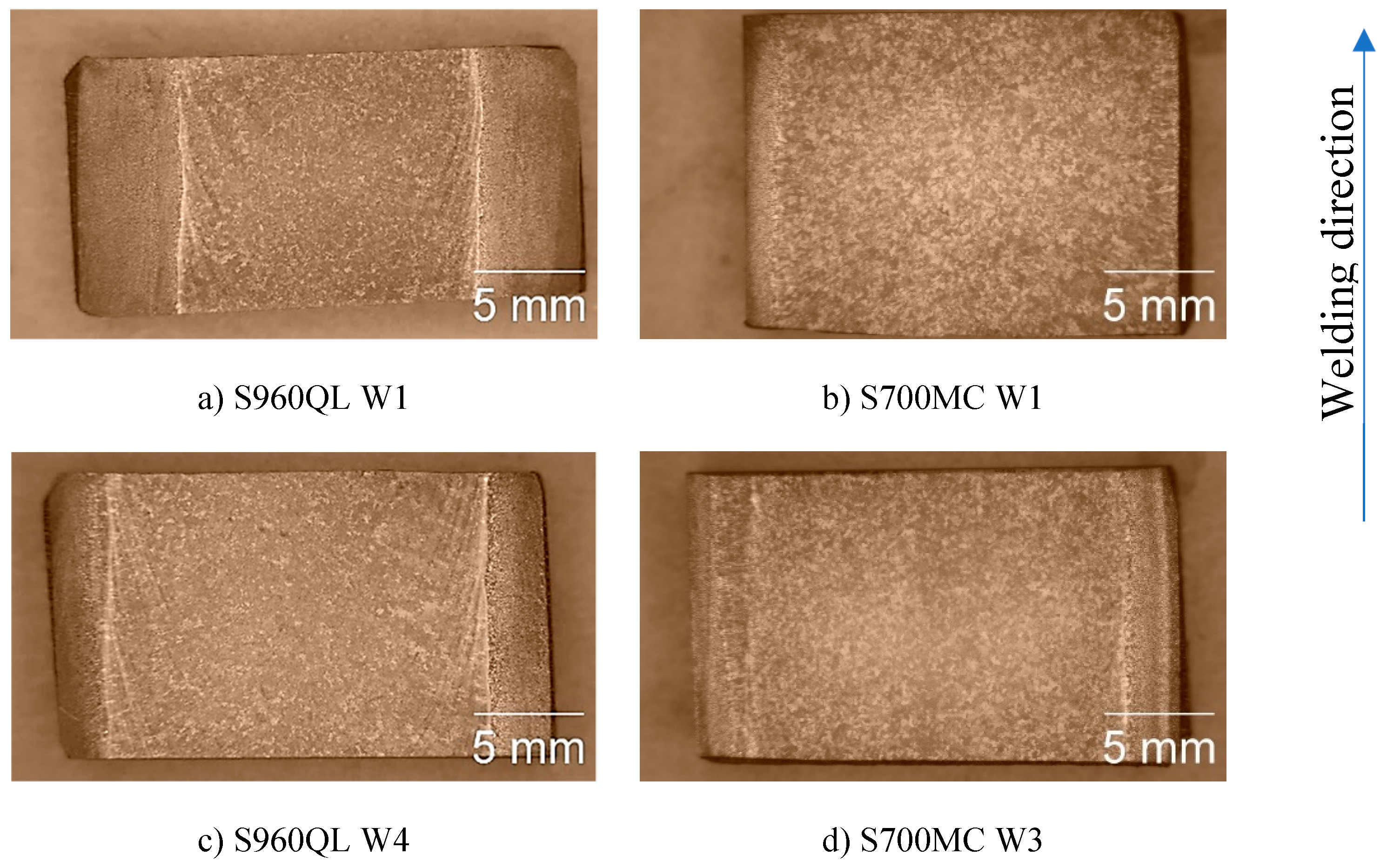 Preprints 114550 g001