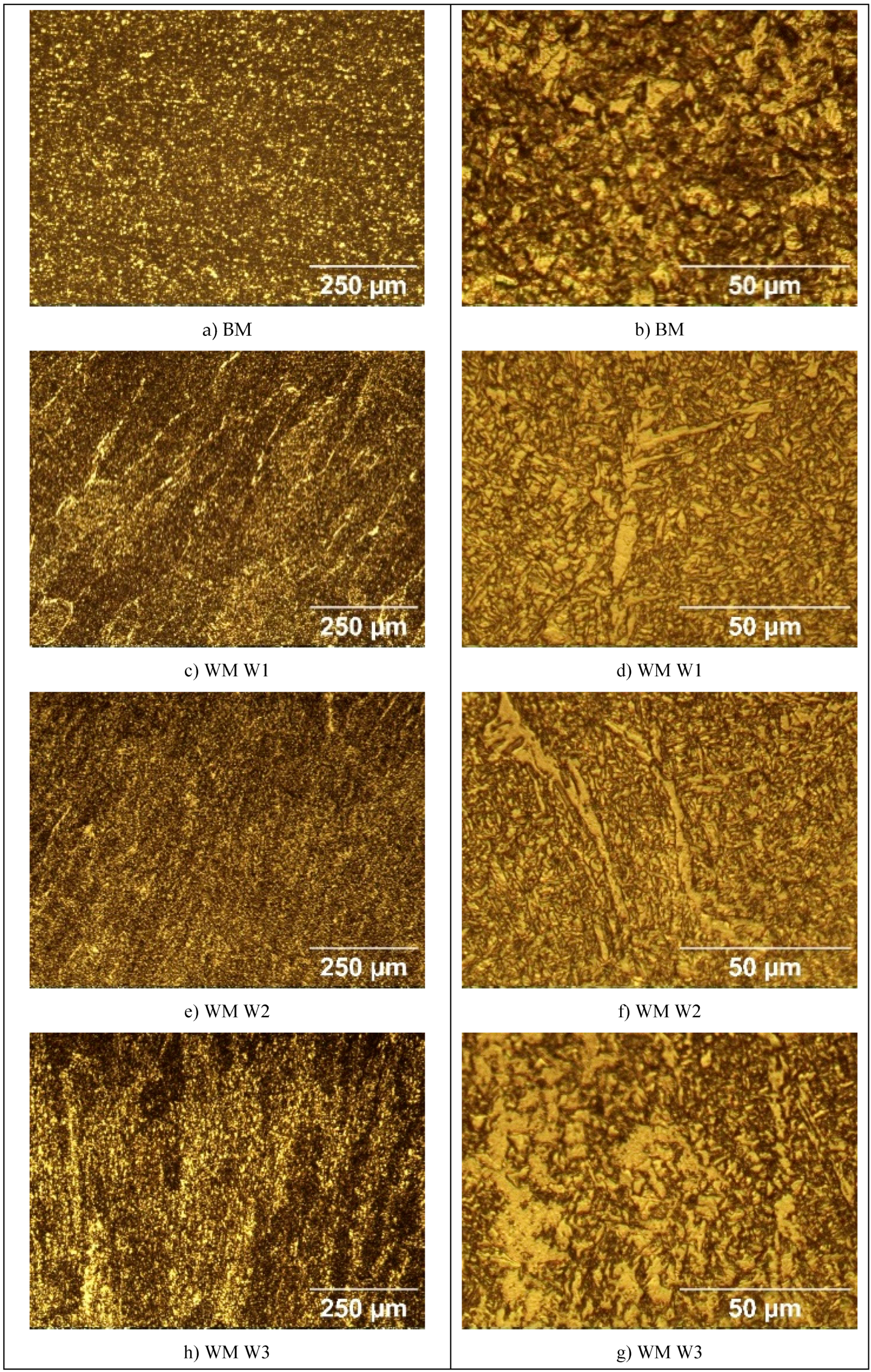 Preprints 114550 g005a