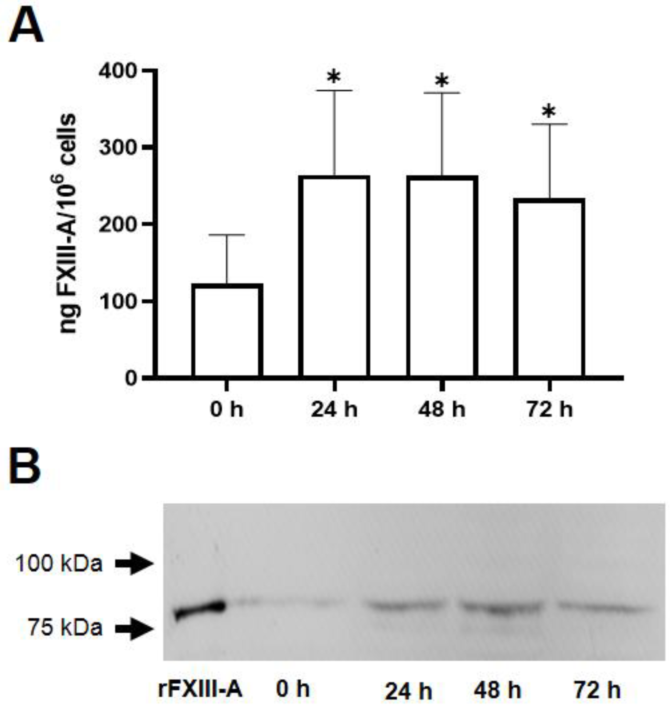 Preprints 68139 g002