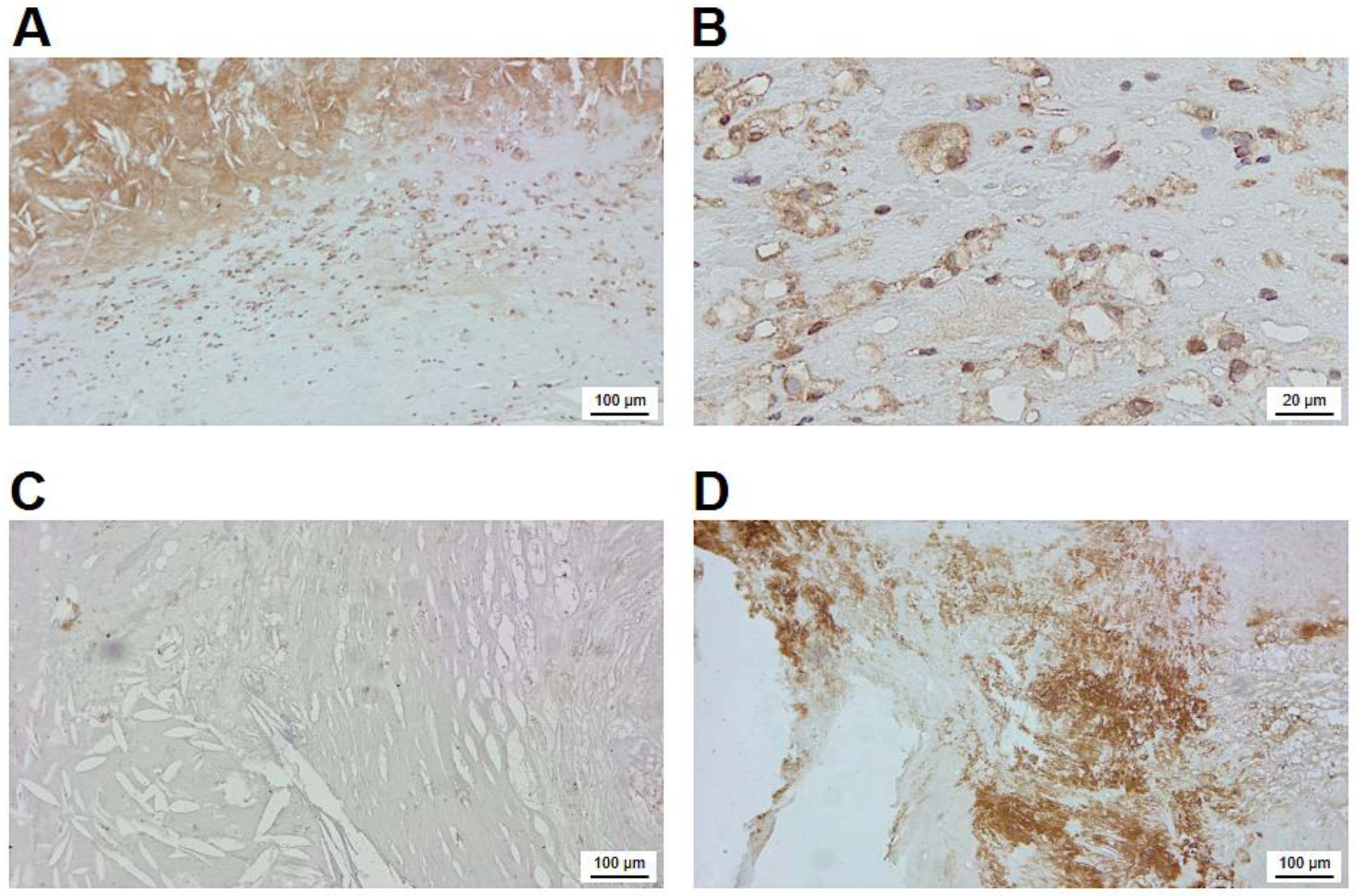 Preprints 68139 g004