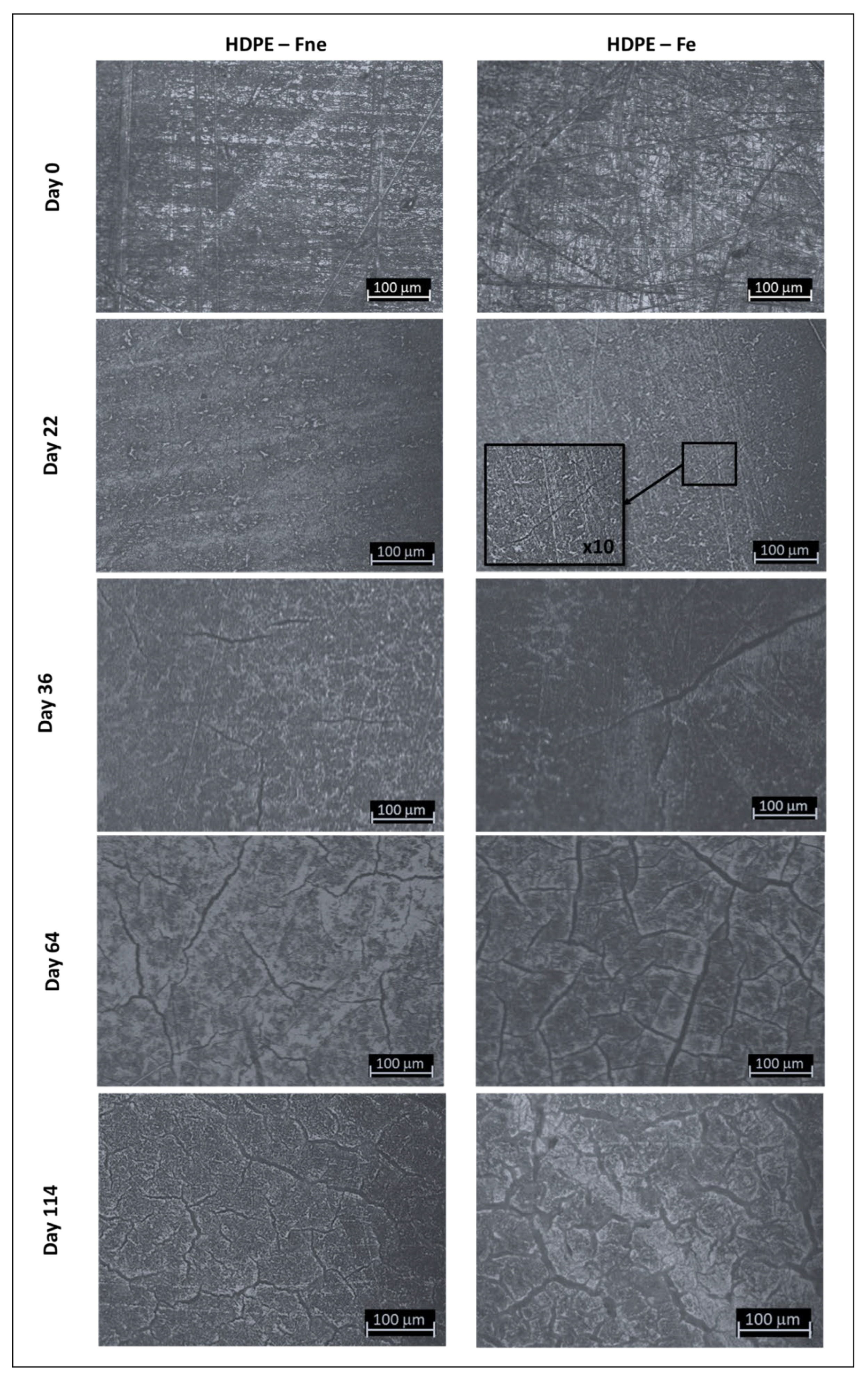 Preprints 115837 g009