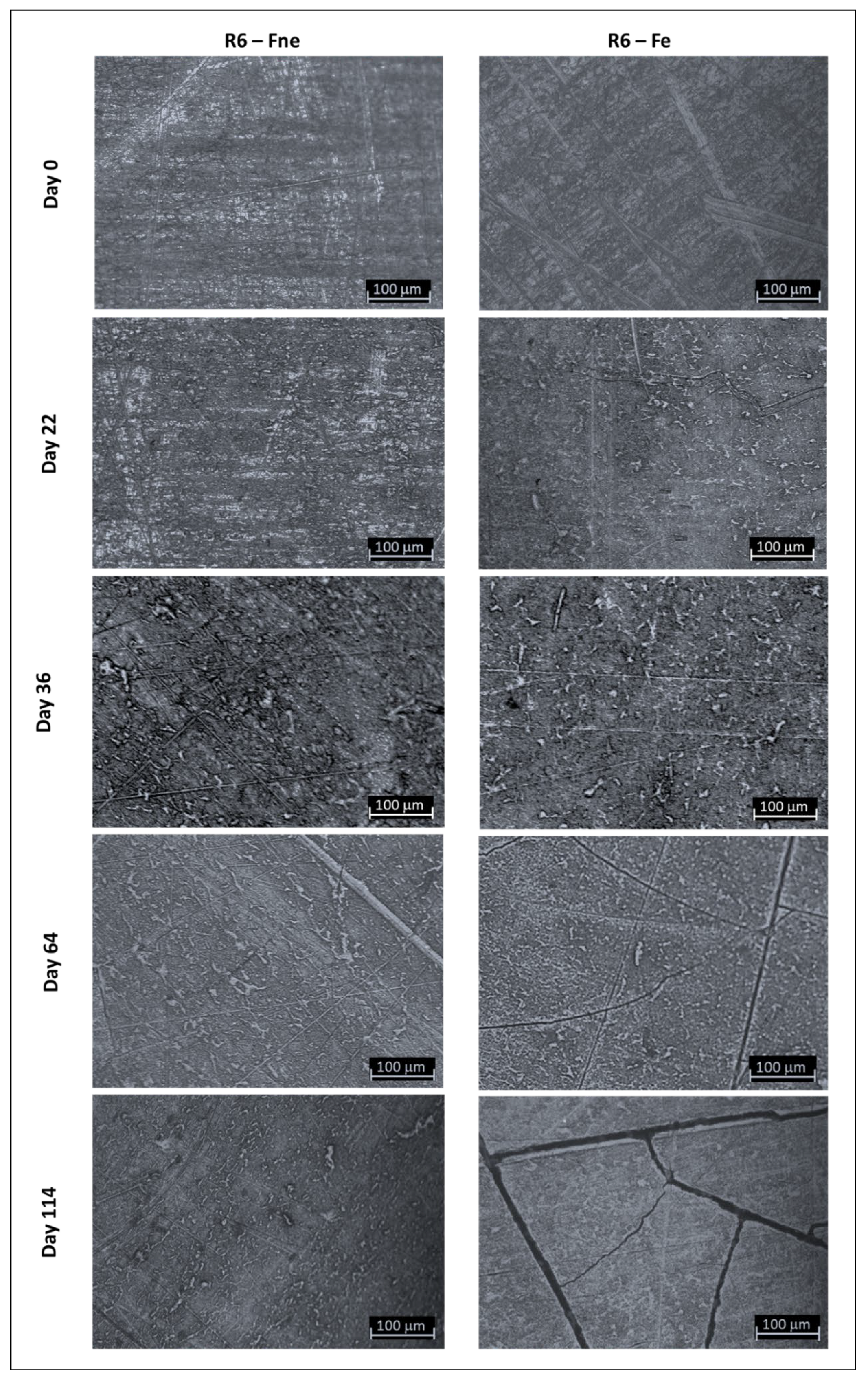 Preprints 115837 g010