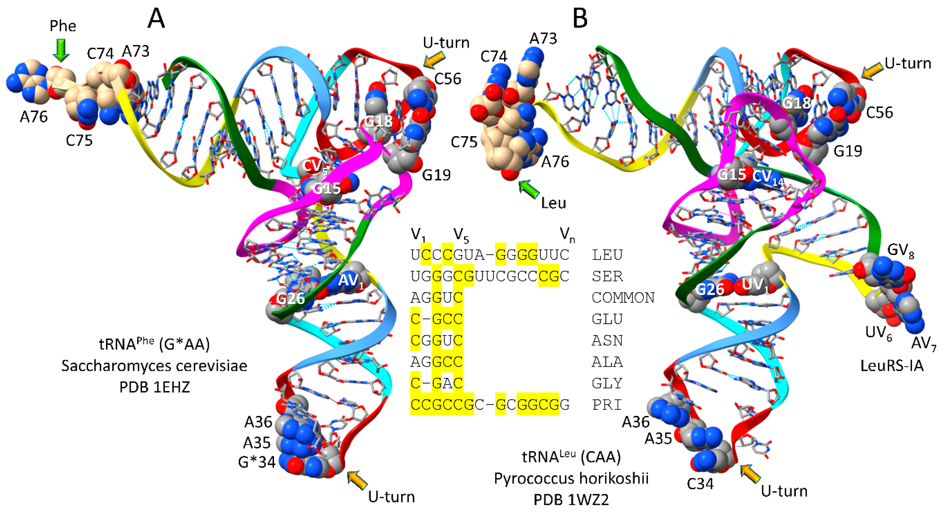 Preprints 111469 g001