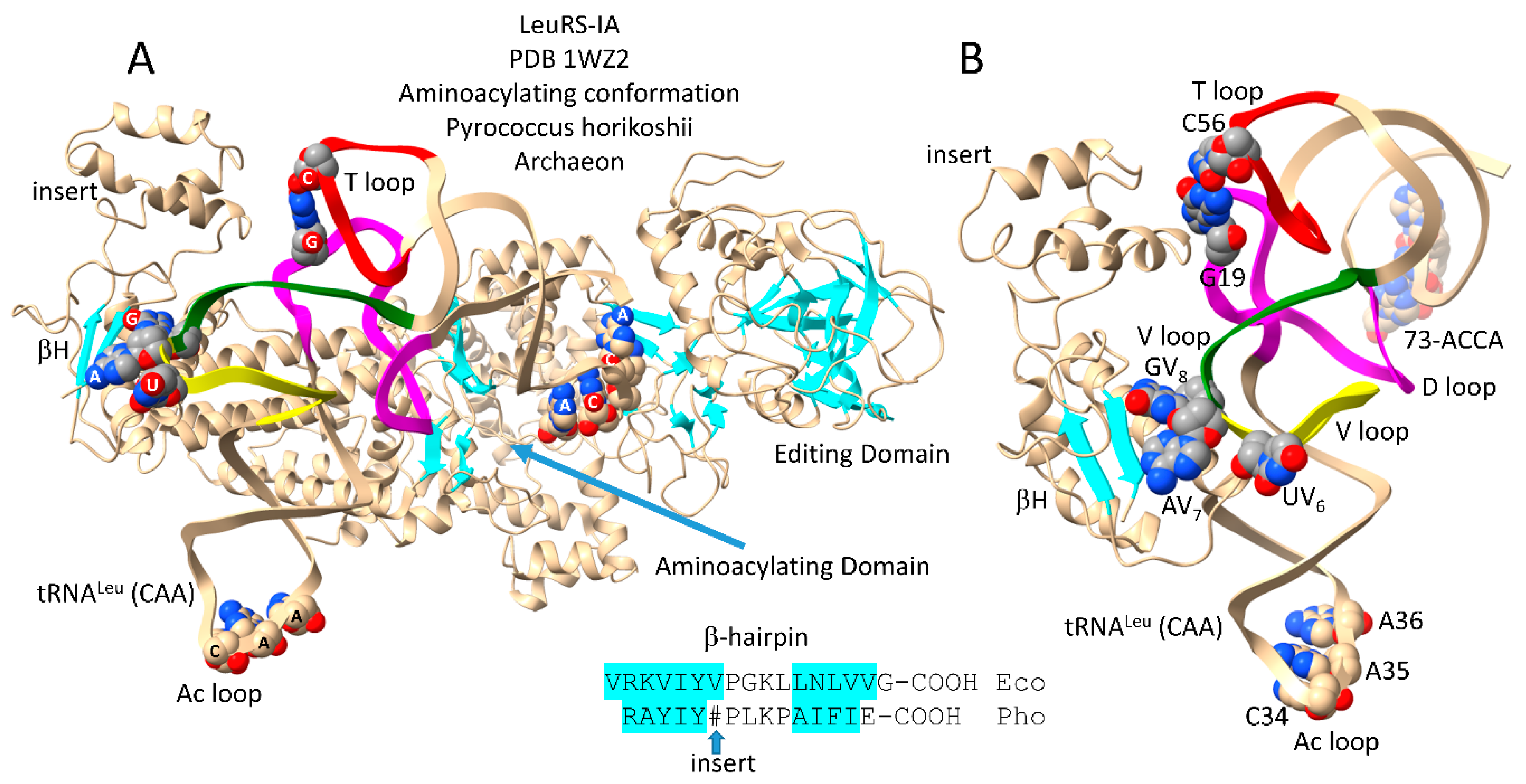 Preprints 111469 g003