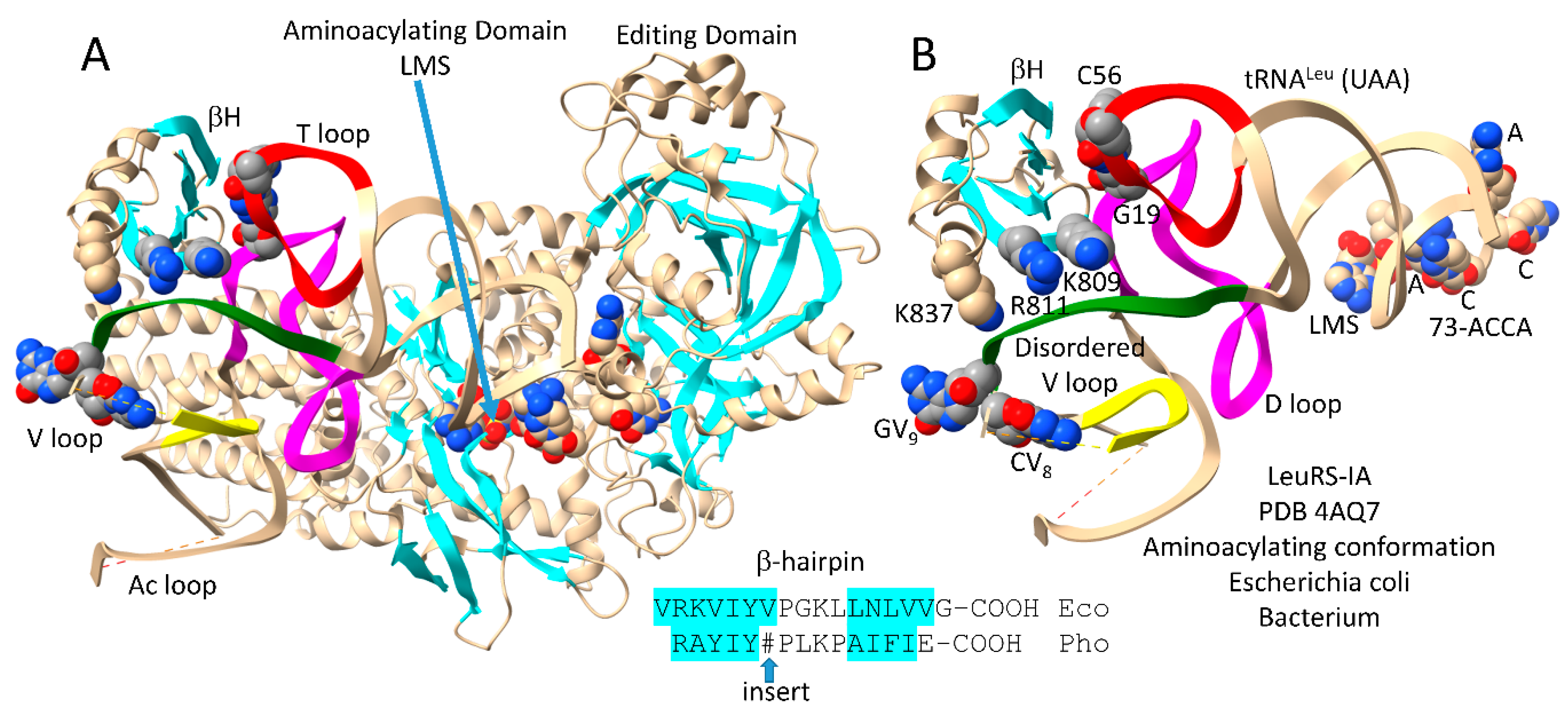 Preprints 111469 g004