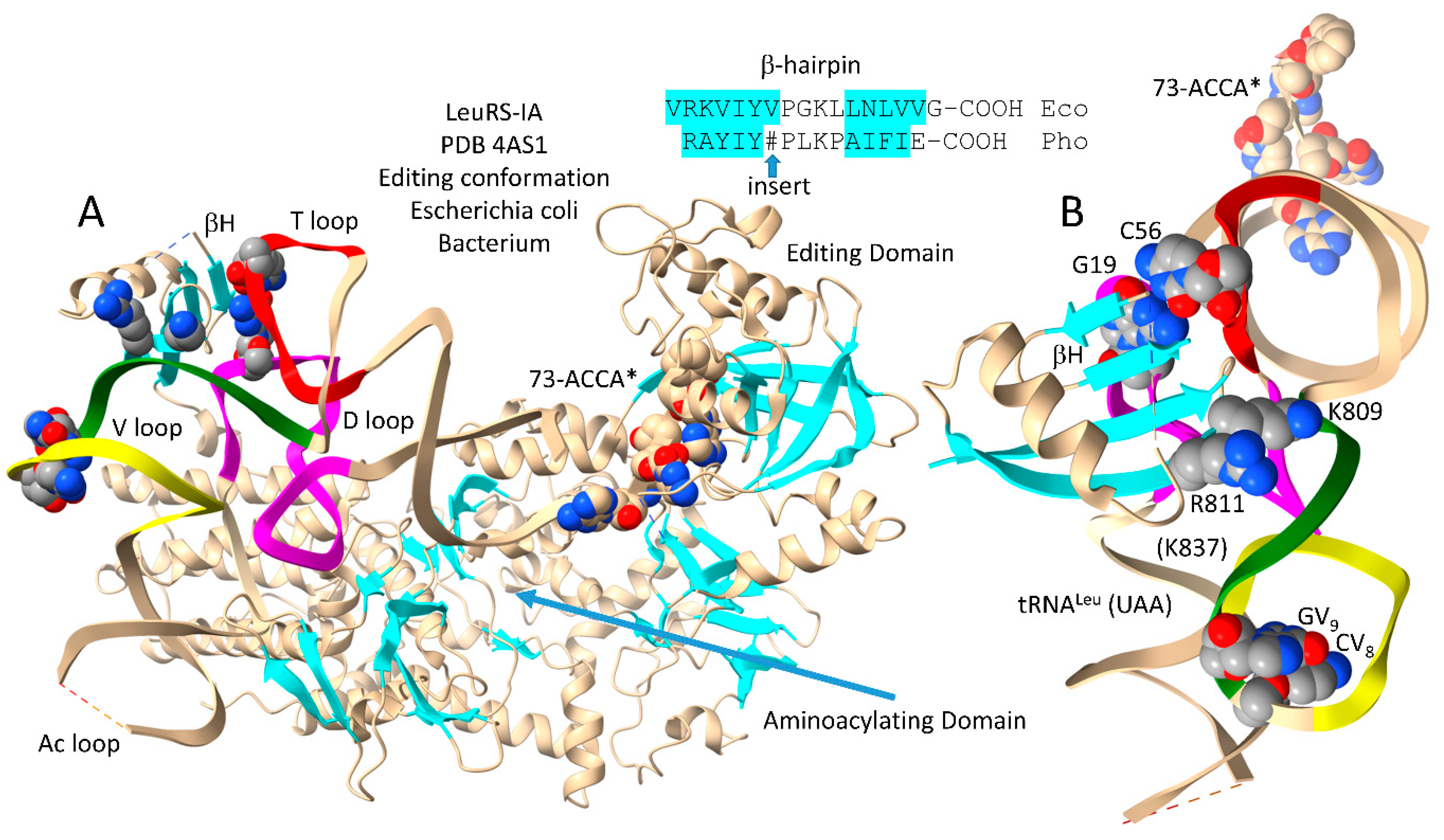 Preprints 111469 g005