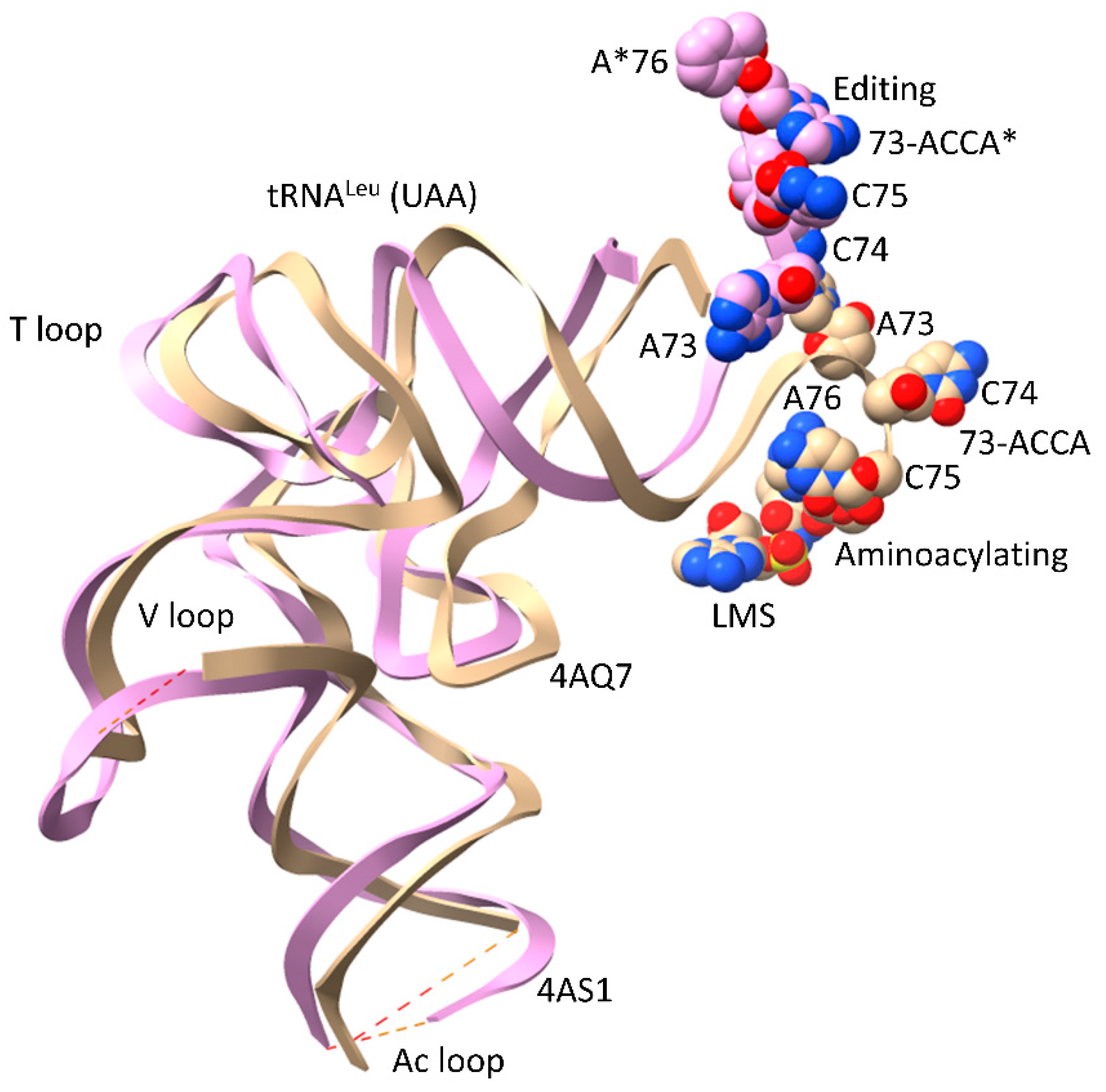 Preprints 111469 g006