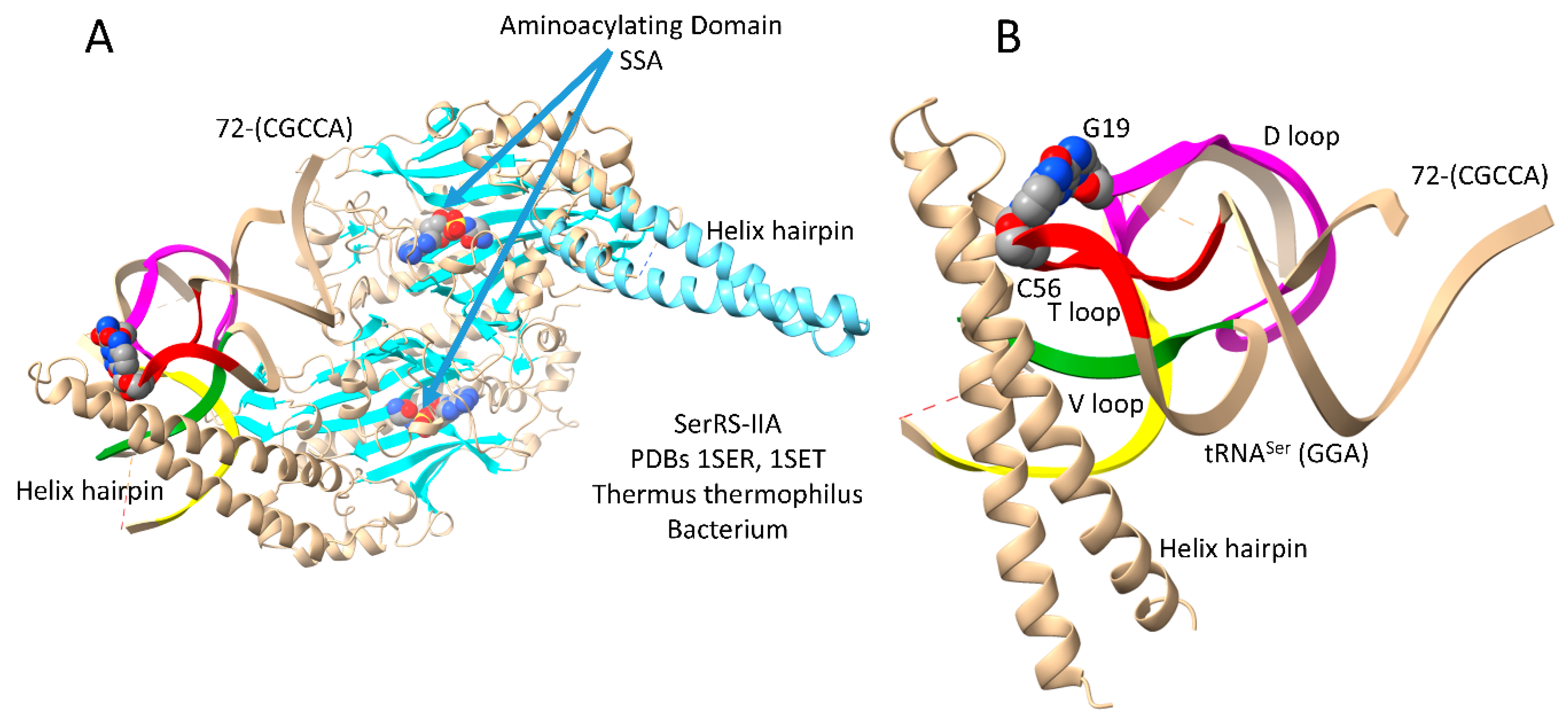 Preprints 111469 g007