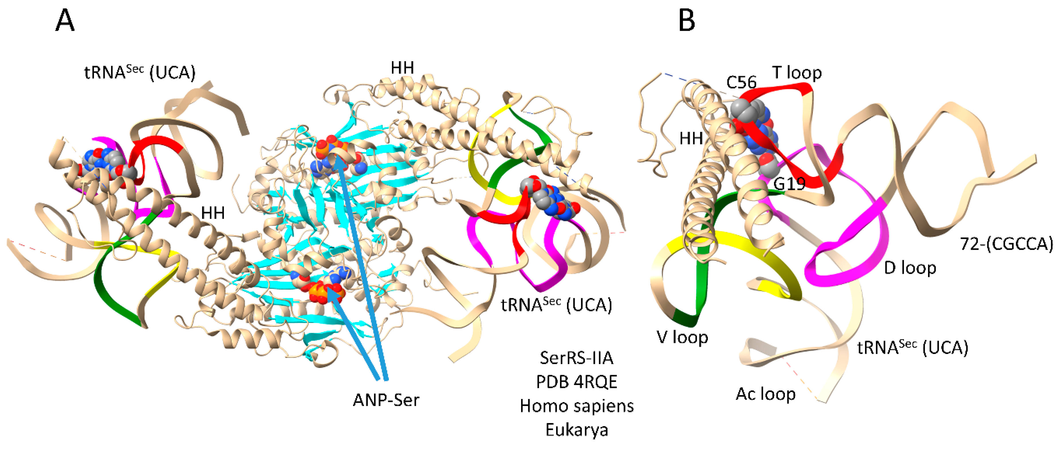 Preprints 111469 g008