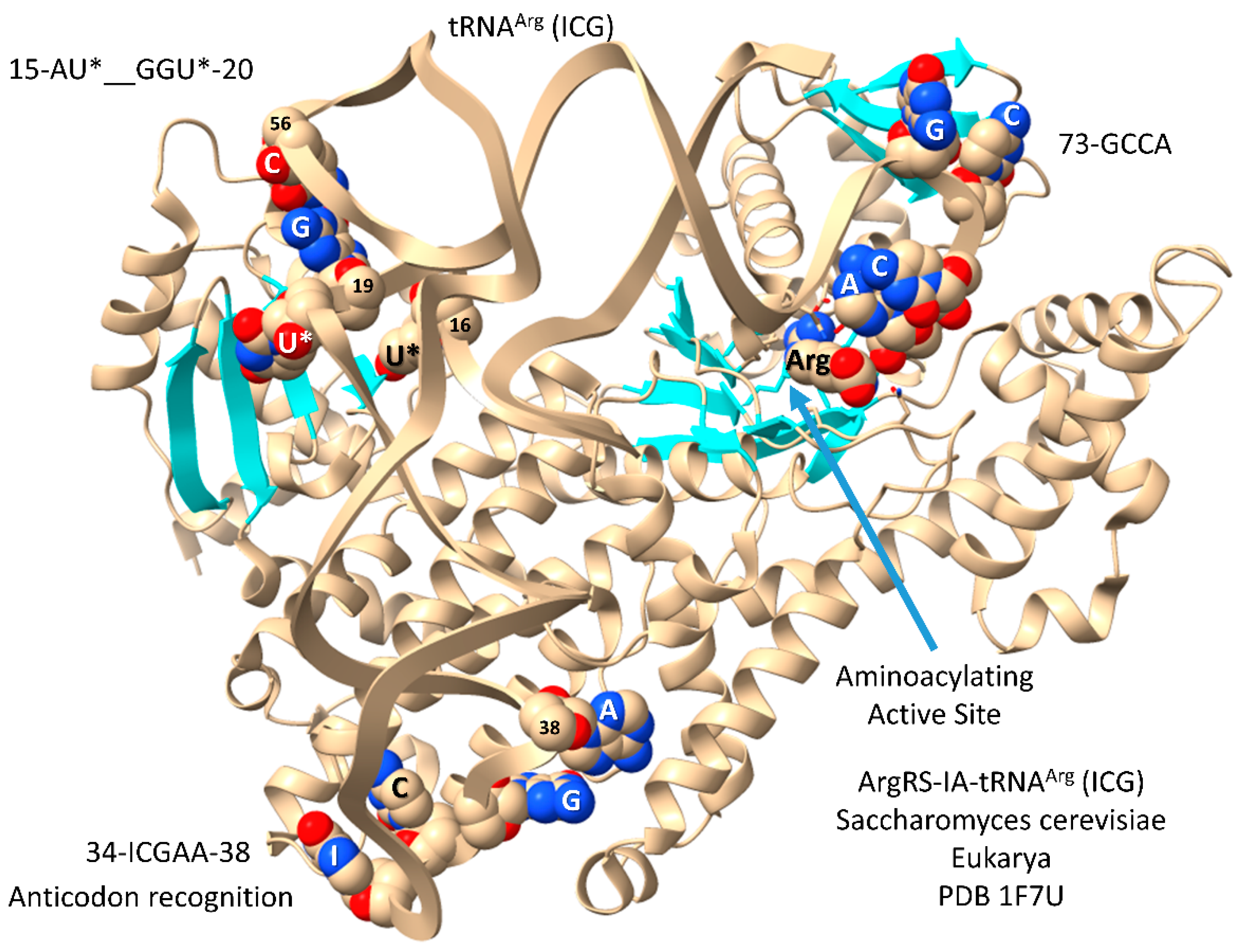 Preprints 111469 g009