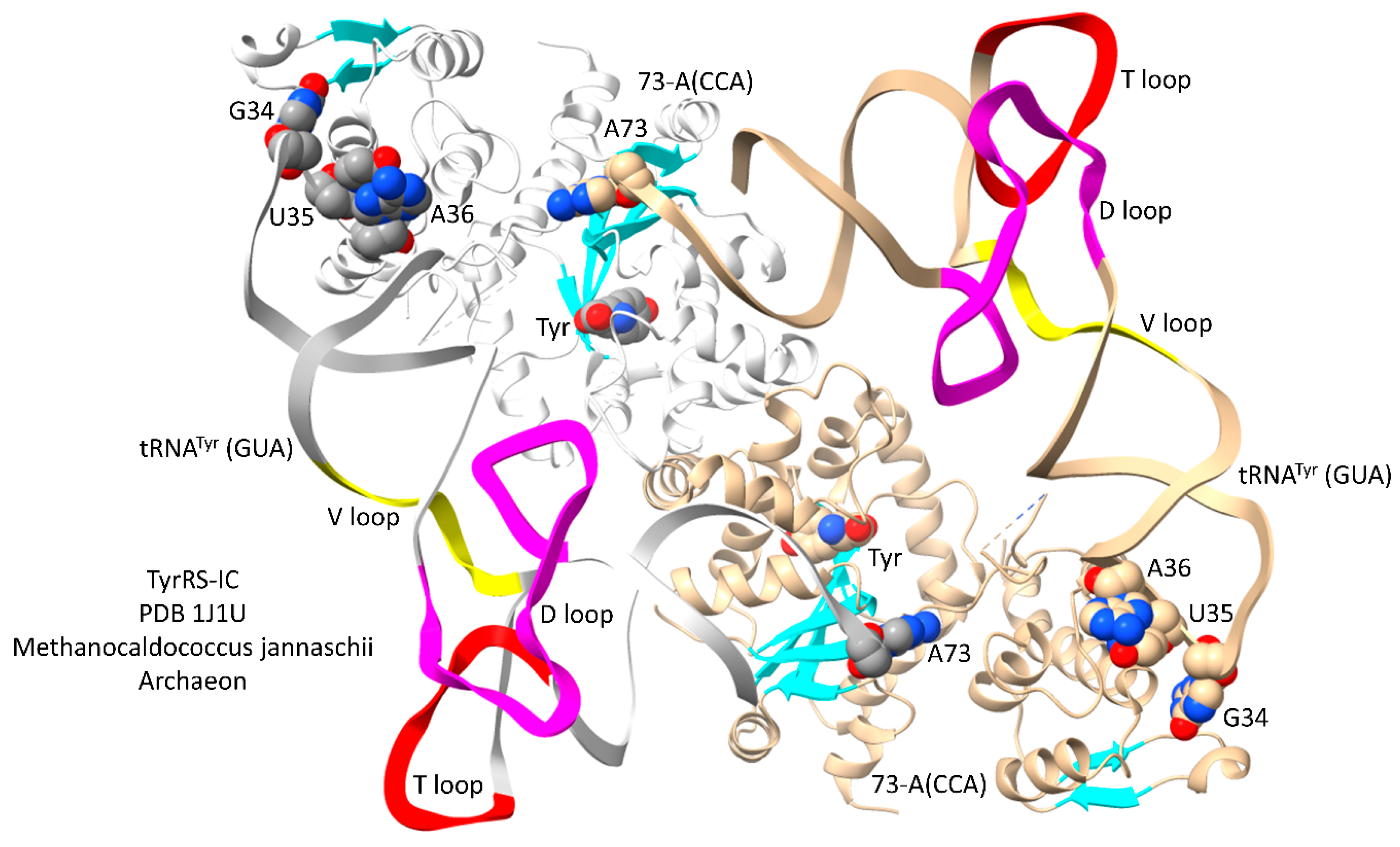 Preprints 111469 g010