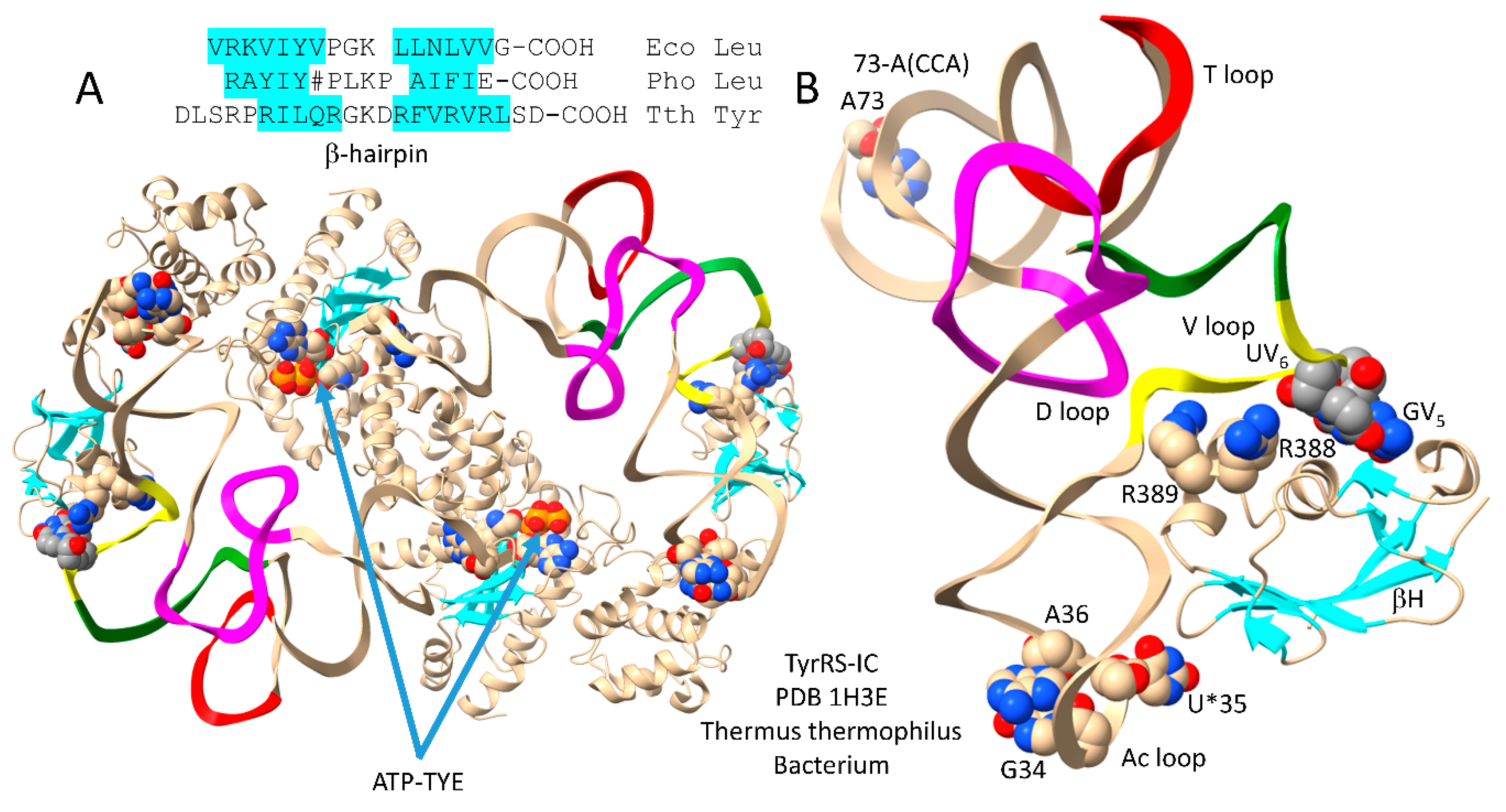 Preprints 111469 g011