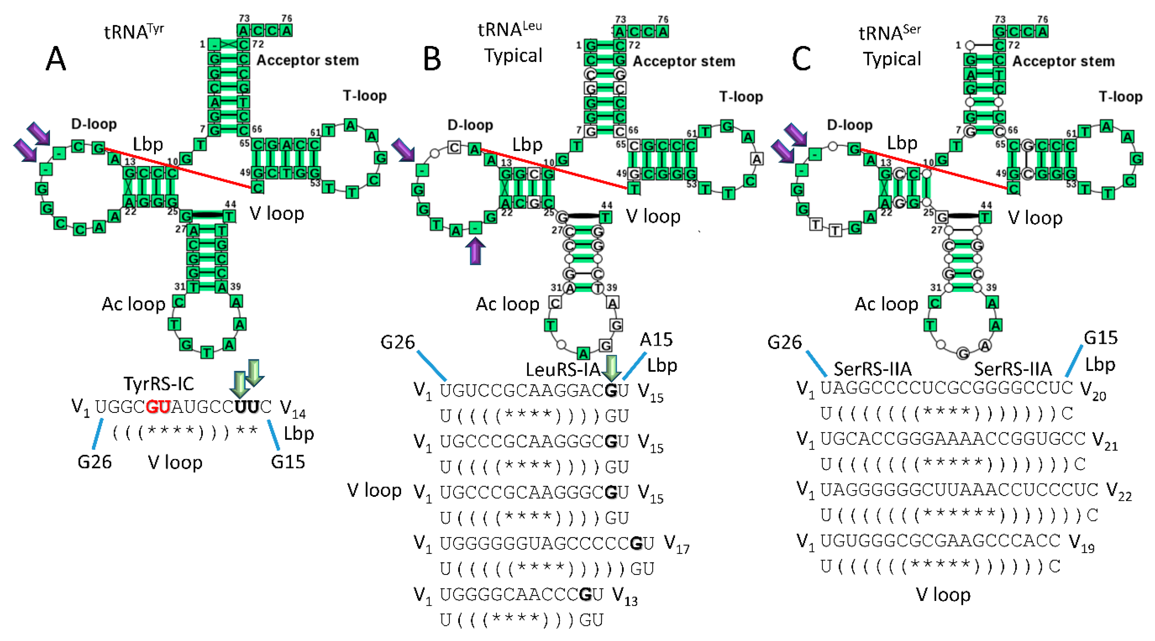 Preprints 111469 g012