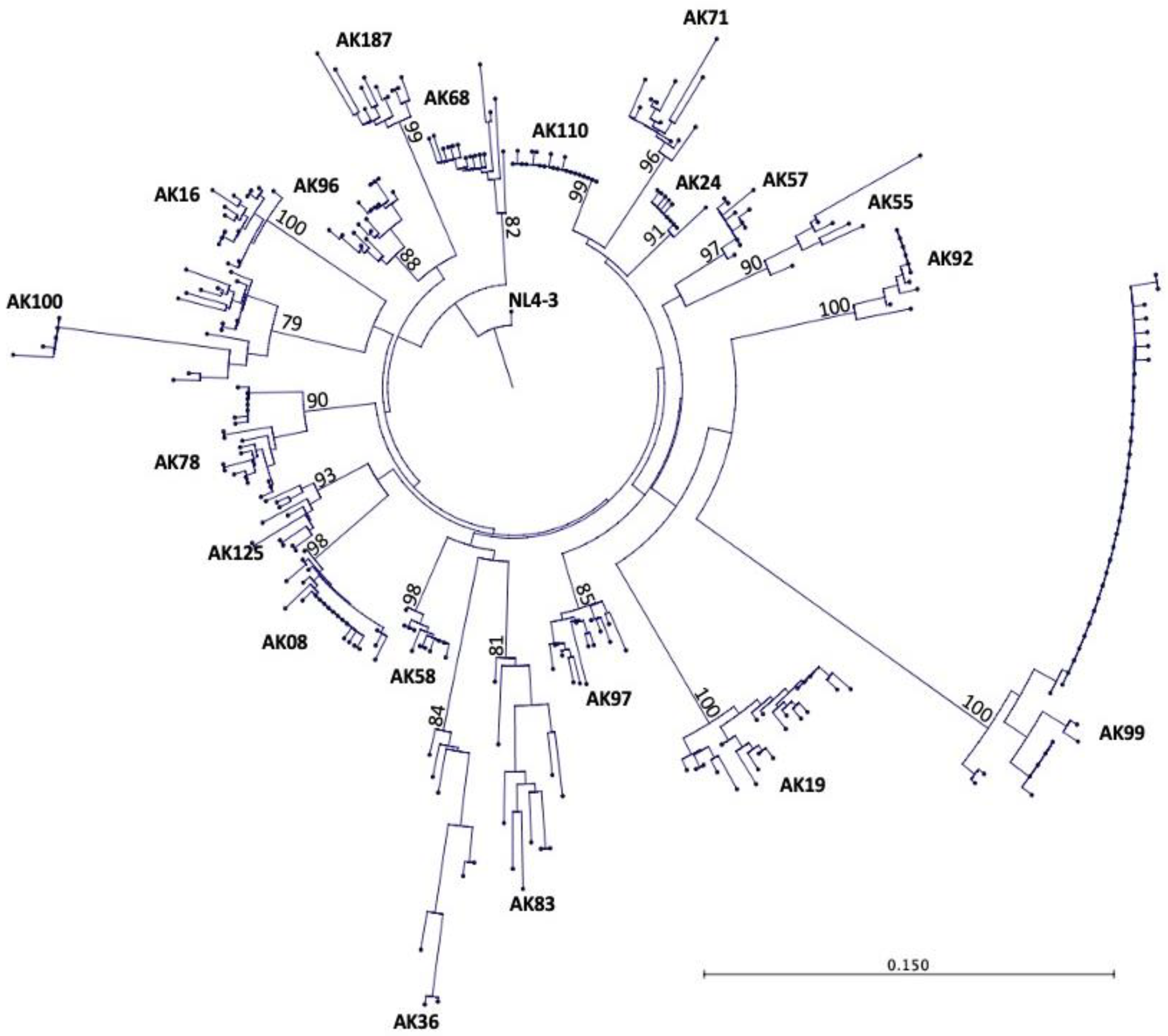 Preprints 86633 g001