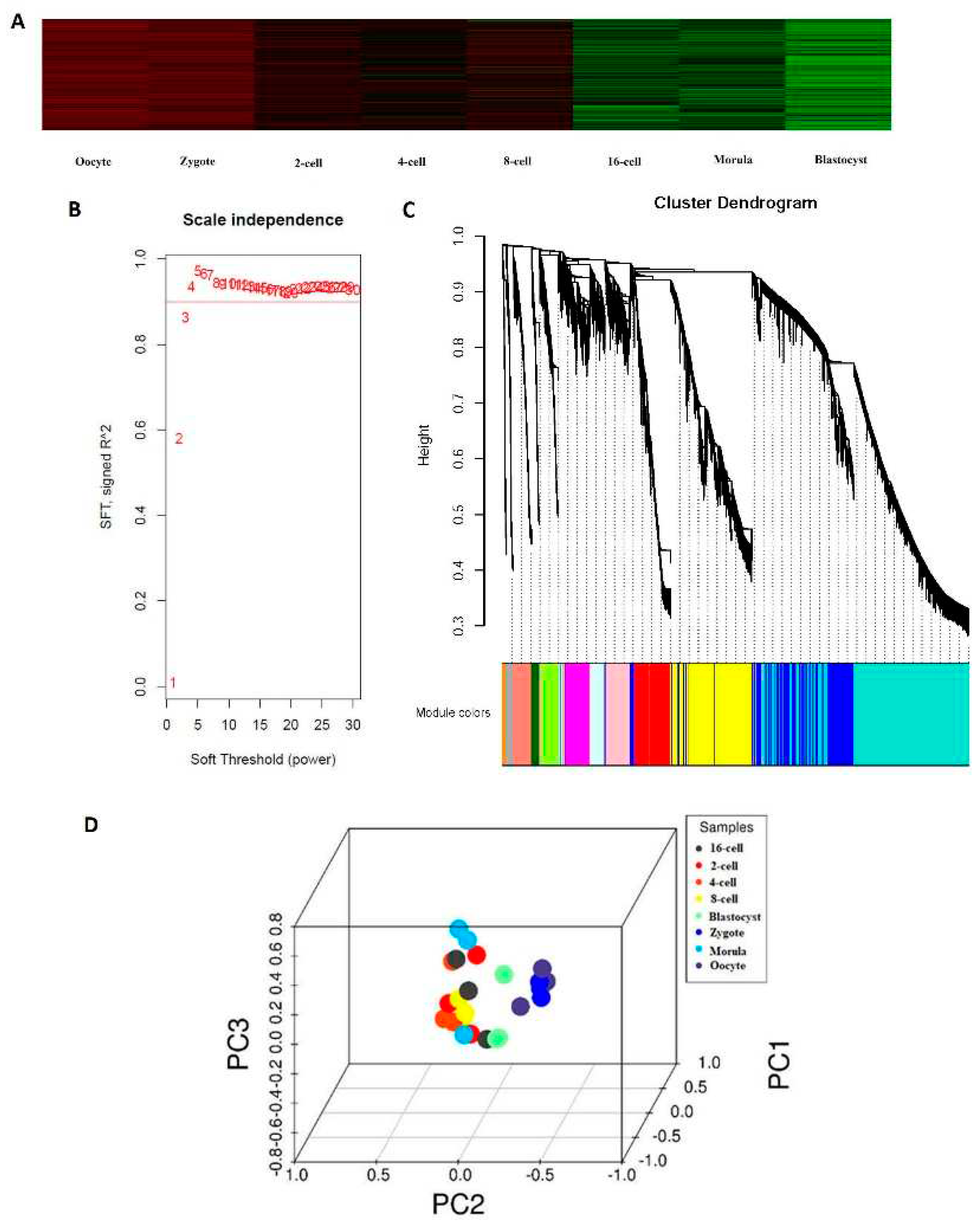 Preprints 71601 g001