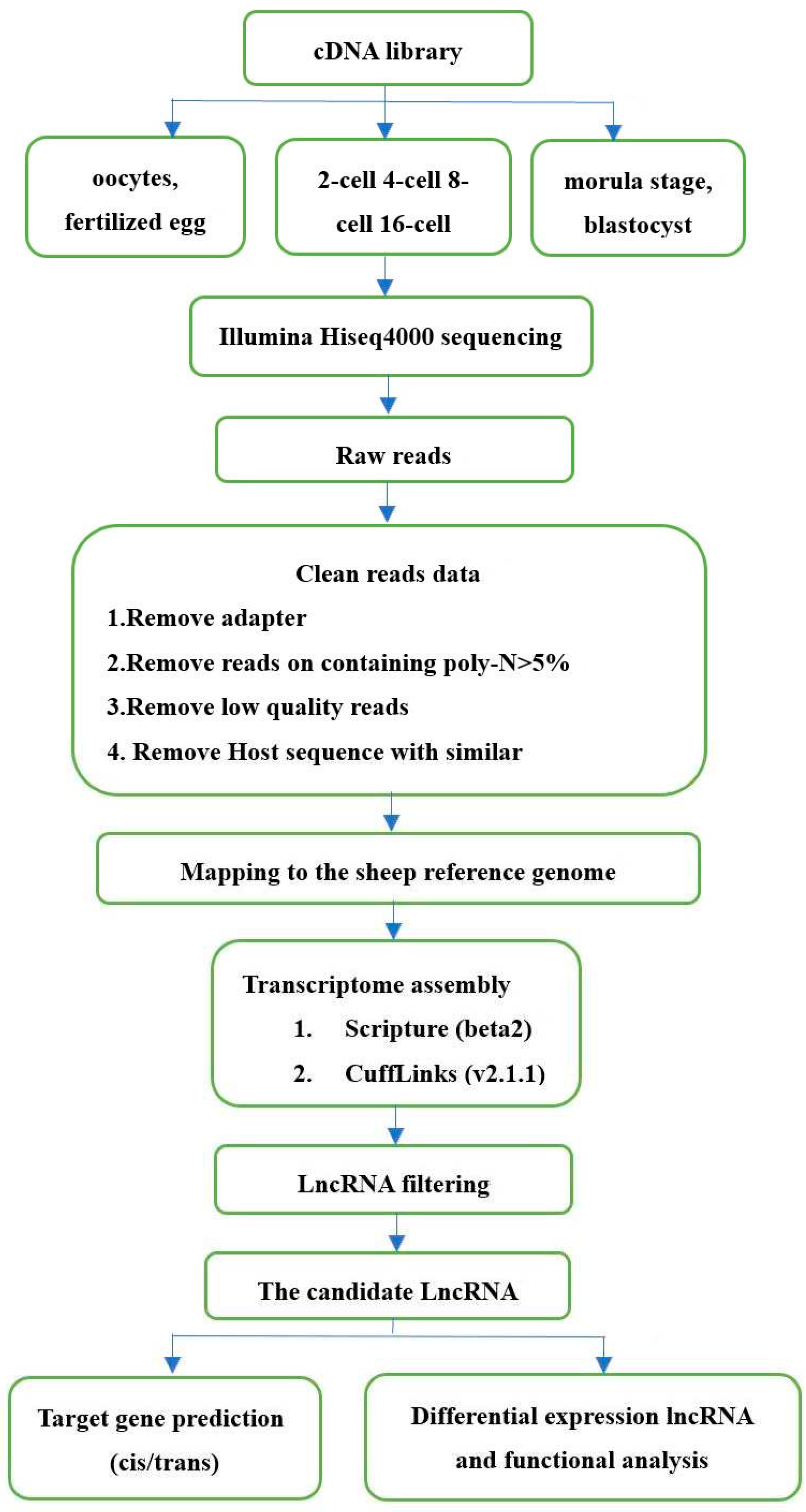 Preprints 71601 g004