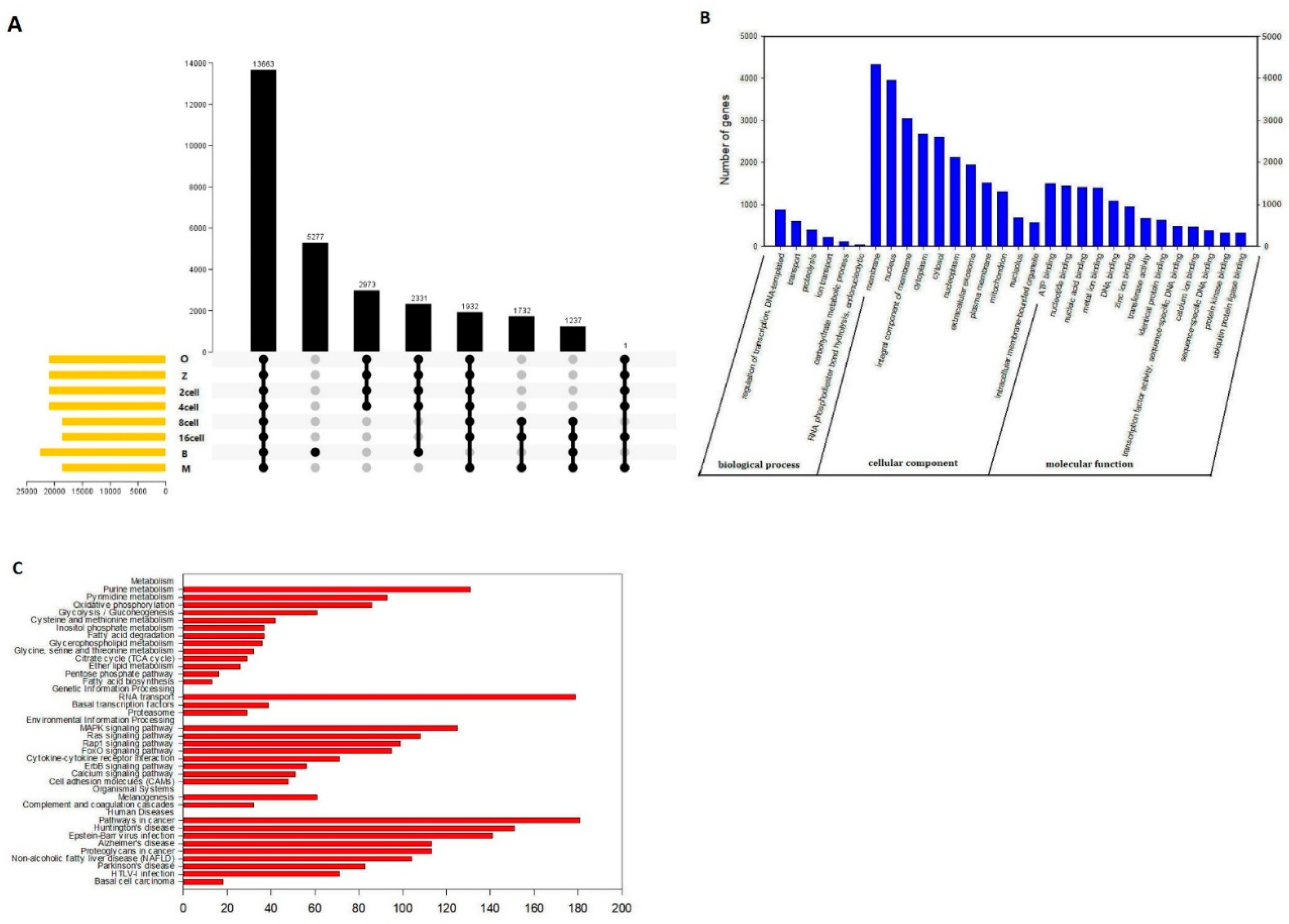 Preprints 71601 g010