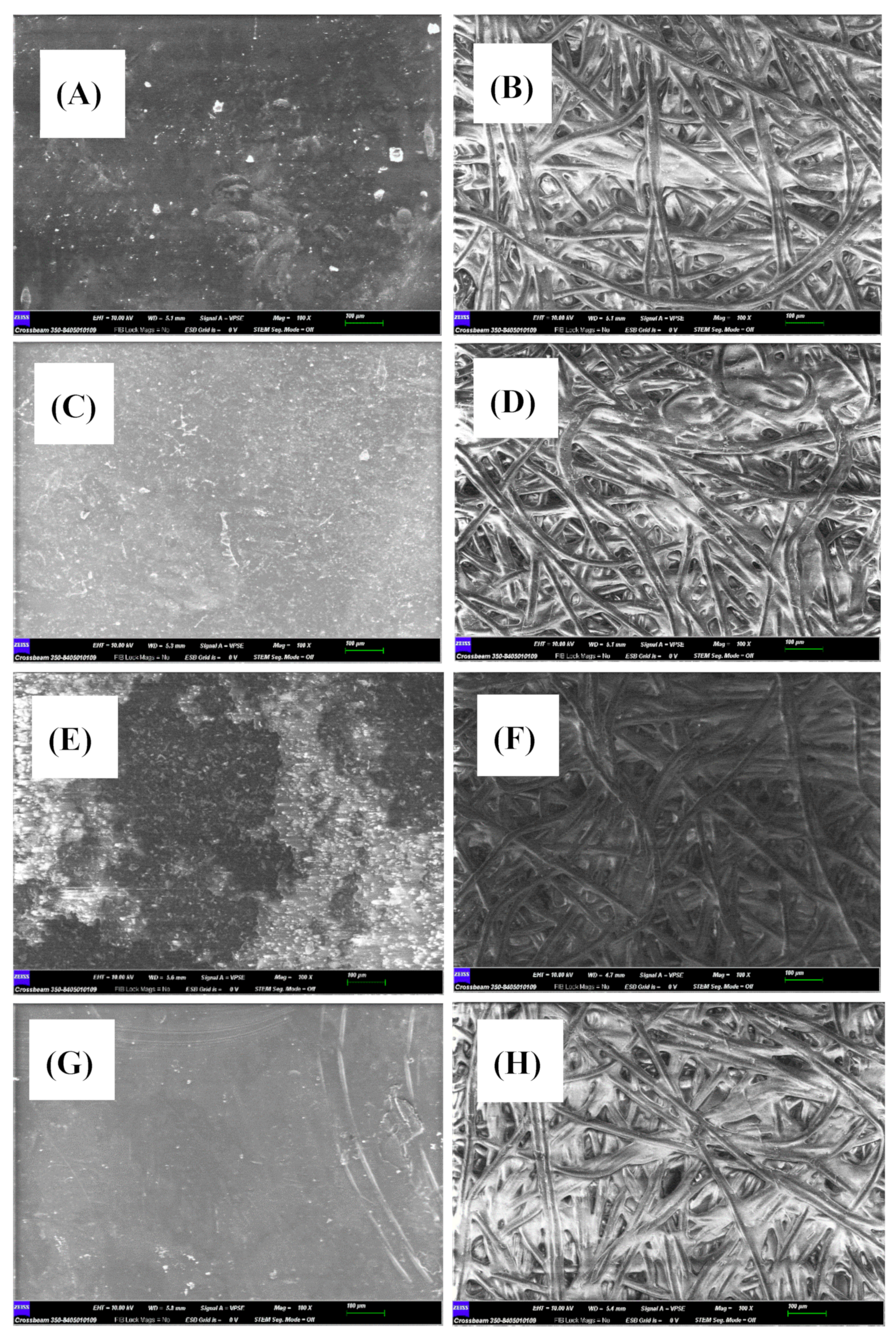 Preprints 113157 g003