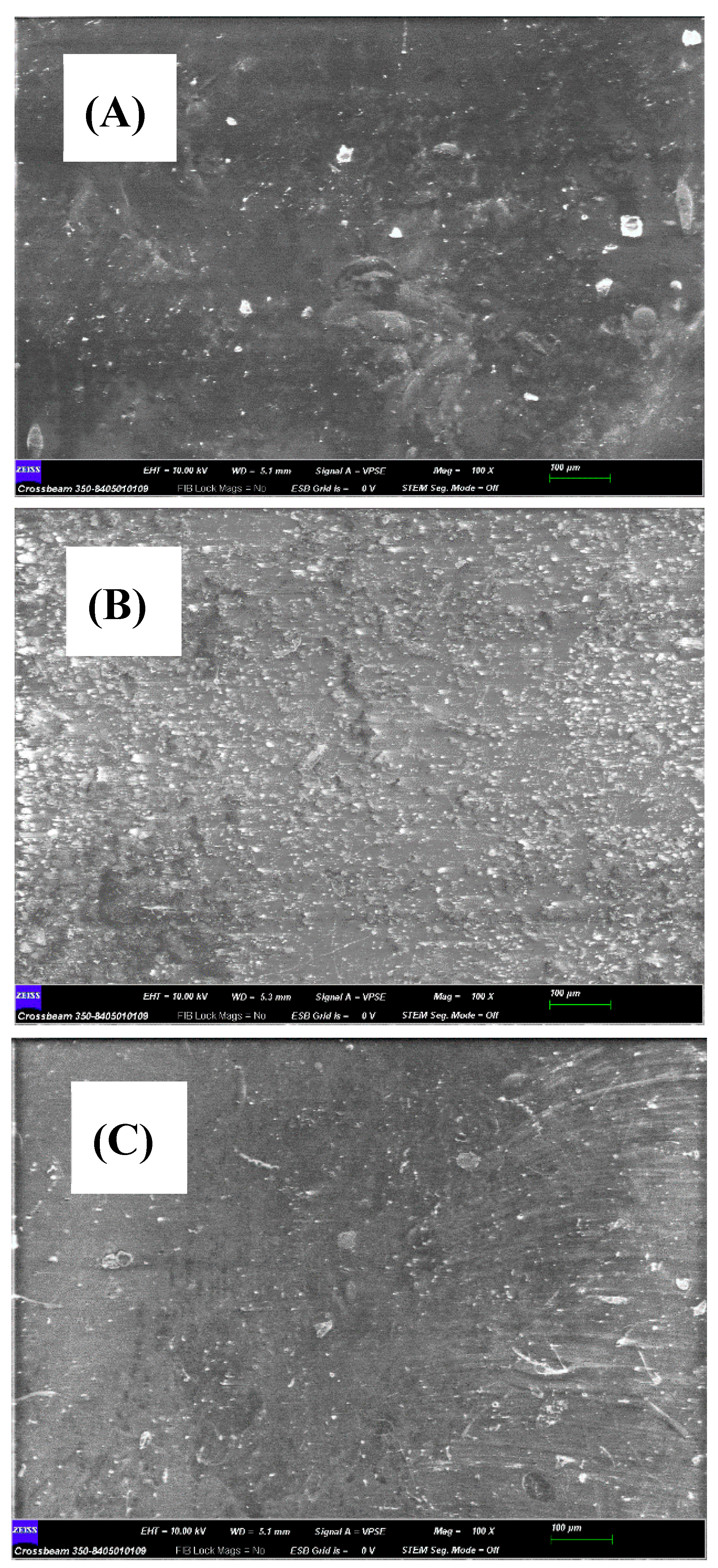 Preprints 113157 g004