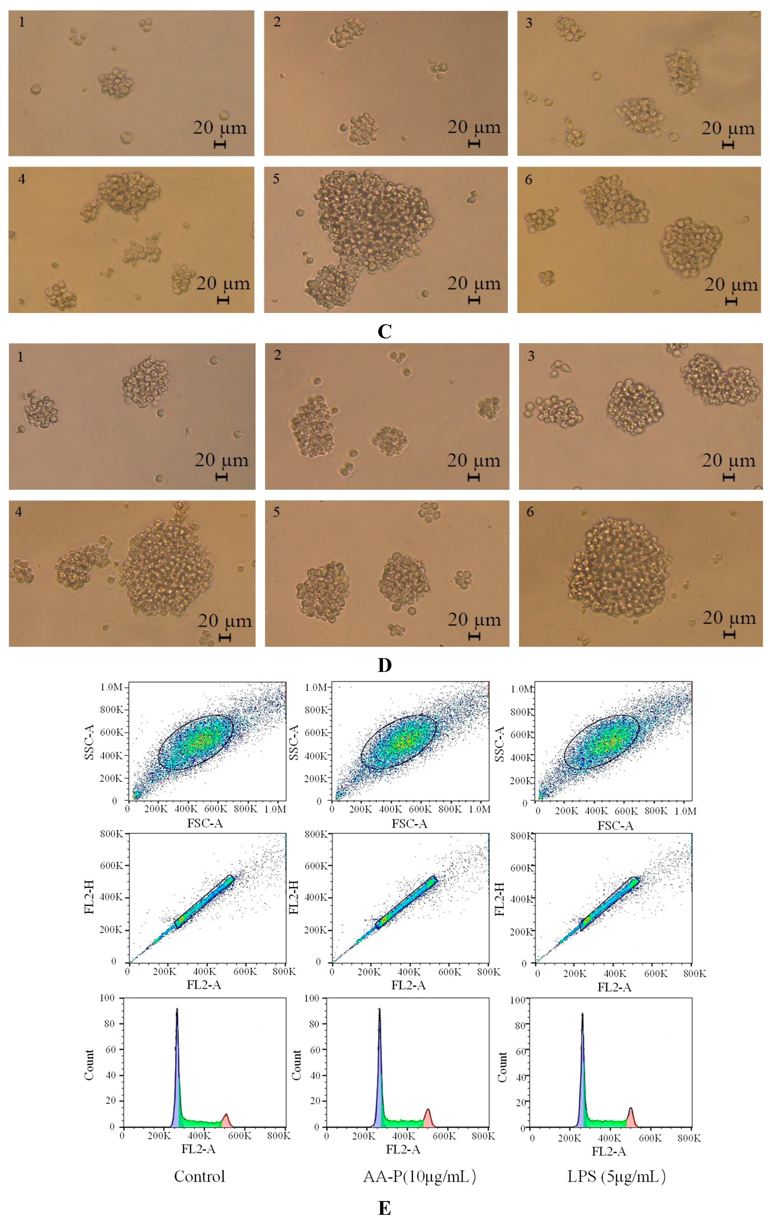 Preprints 91584 g005b