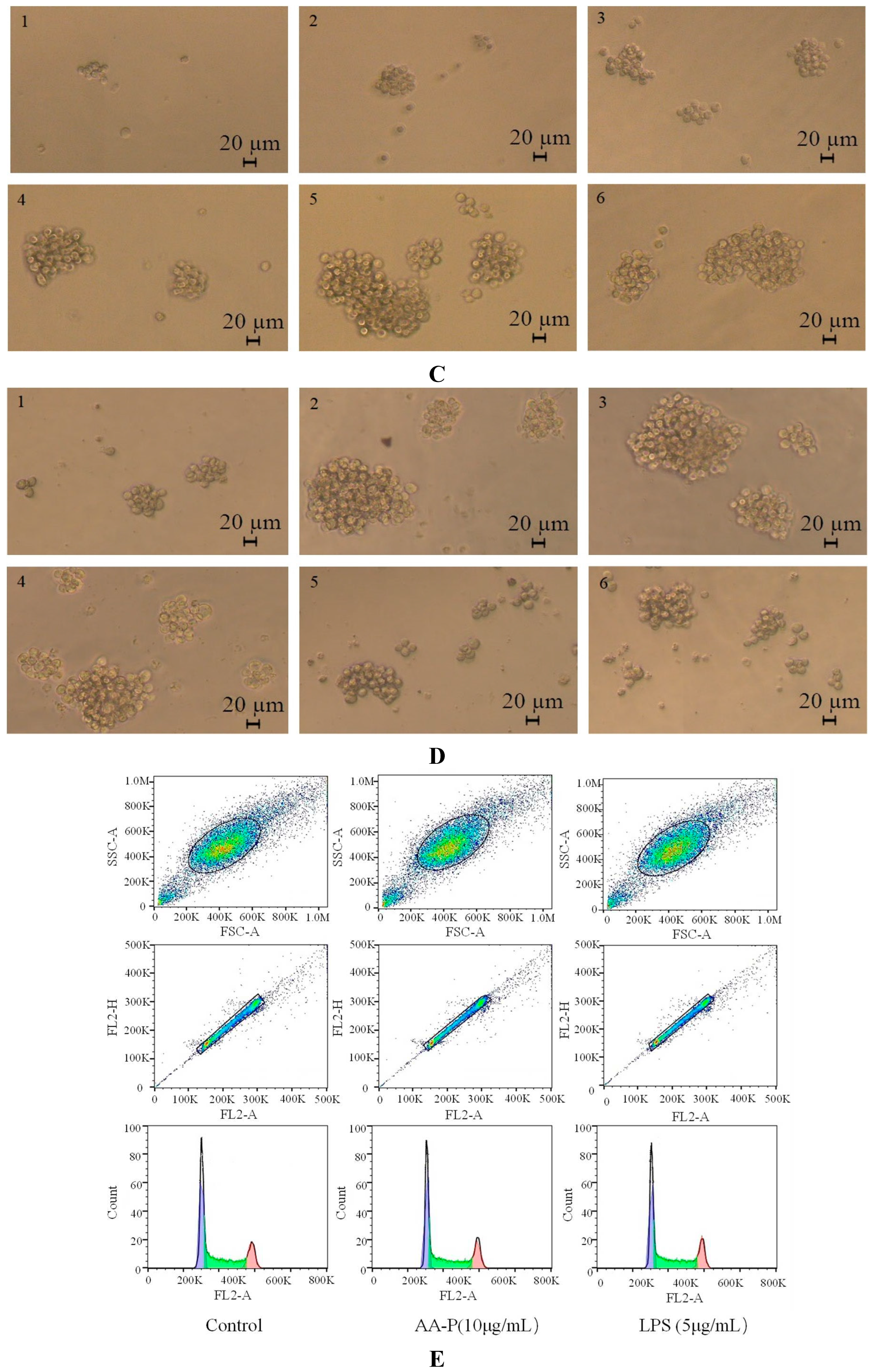 Preprints 91584 g006b