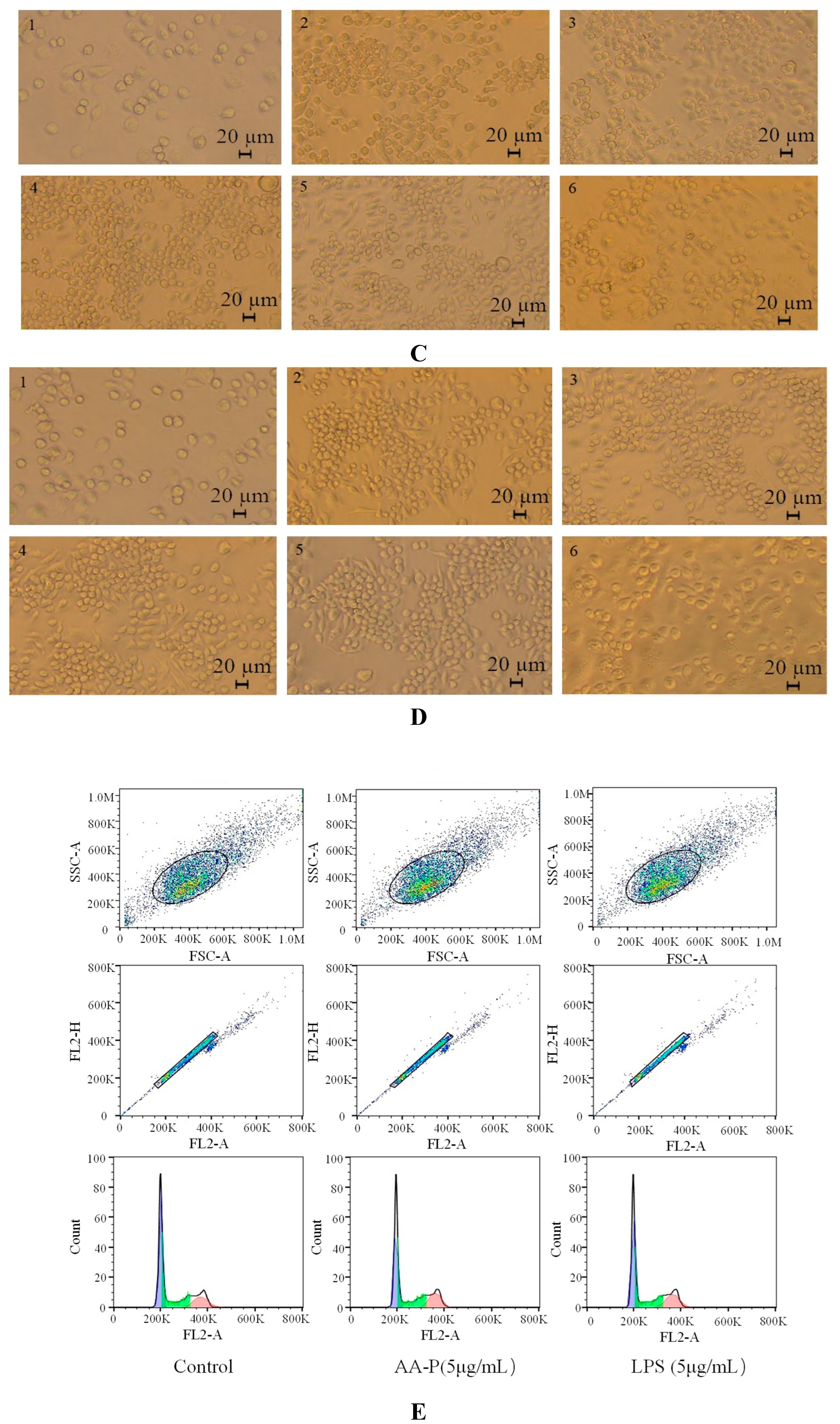 Preprints 91584 g007b