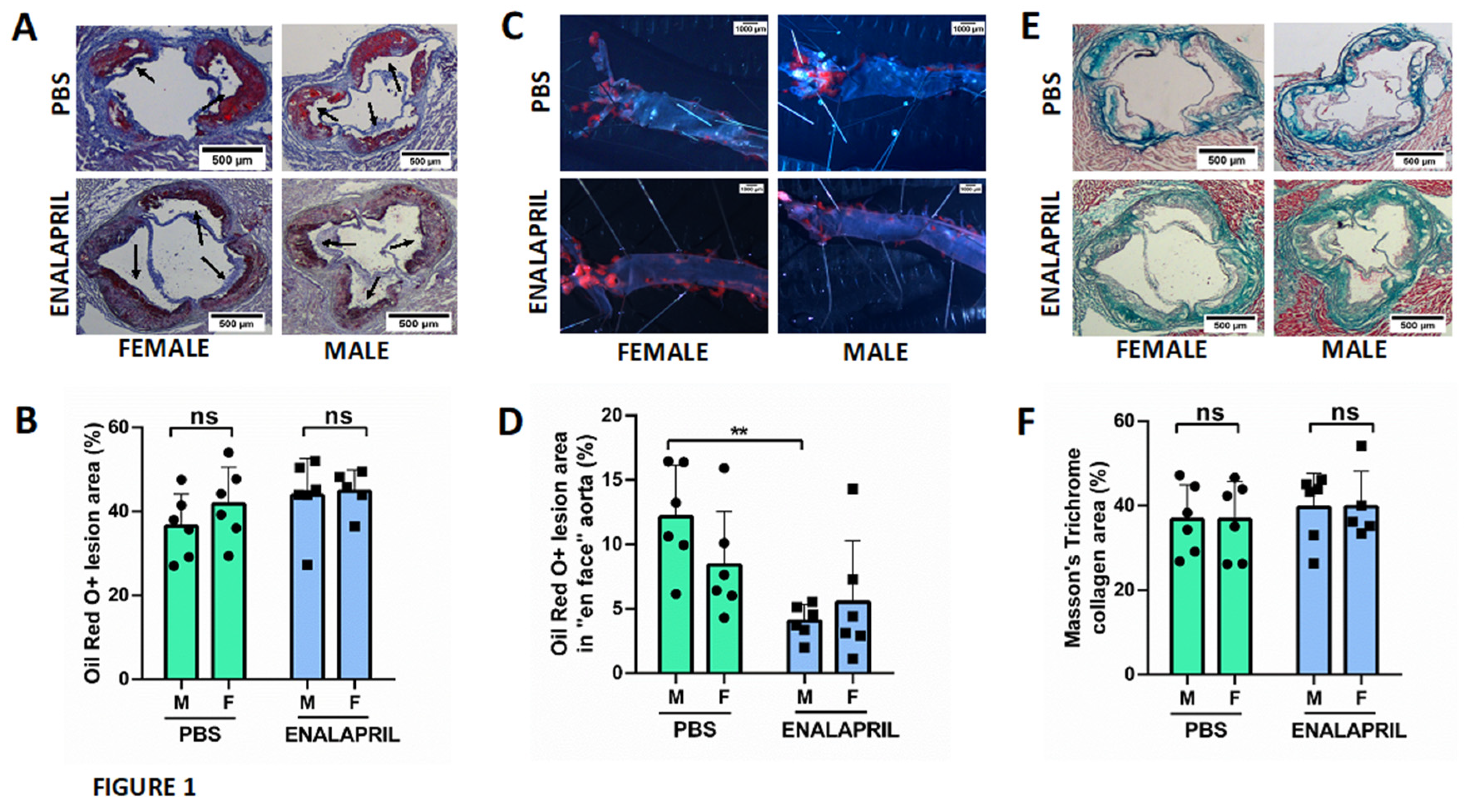 Preprints 76440 g001